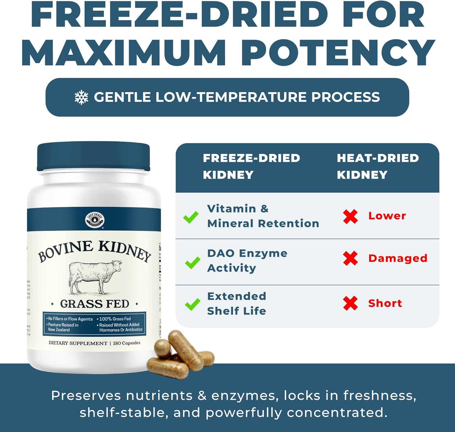 Left Coast Performance Grass Fed Beef Kidney Supplement –100% Grass Fed, Freeze Dried, Non-GMO, New Zealand Pasture Raised Beef Organ Supplement - DAO Enzyme and Histamine Support– 180 Capsules - Image 6