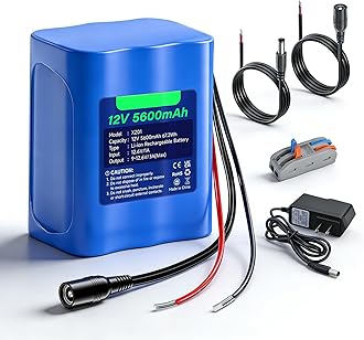 CITYORK 12V 5600mAh Rechargeable Battery Lithium with Charger, Bare Leads Wire Battery Pack Compatible with 12V Devices, DIY Project, Speakers, RC Car, Robot Toys, LED Light Strip, CCTV Camera etc