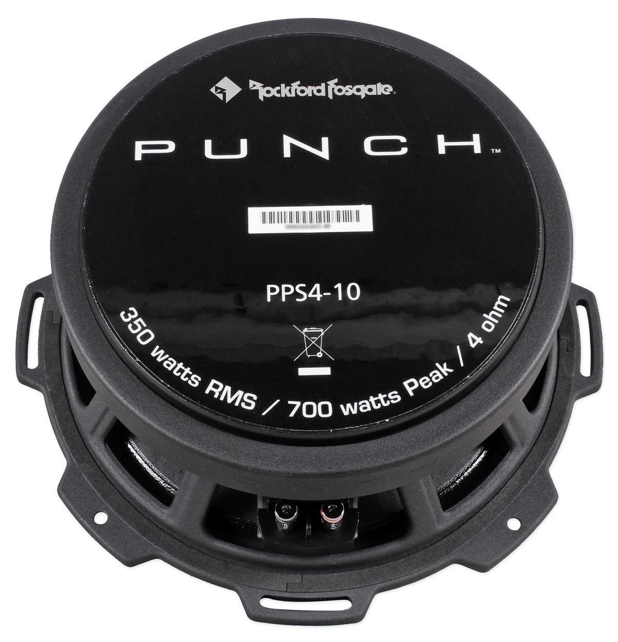 Amazon.com: (2) Rockford Fosgate Pro PPS4-10 10