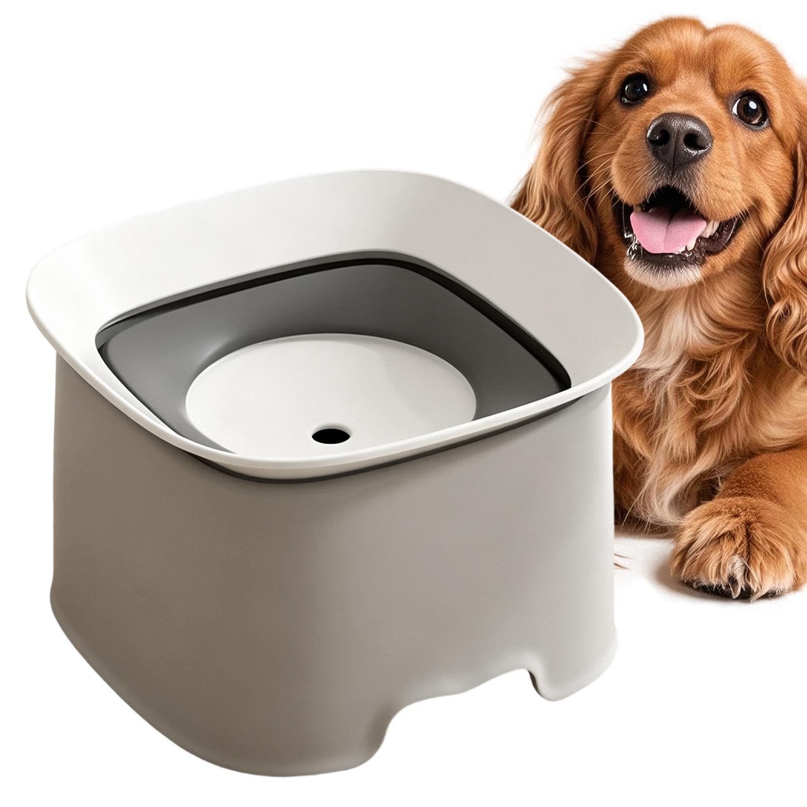Gamelle à eau pour chien à boire lentement anti-renversement