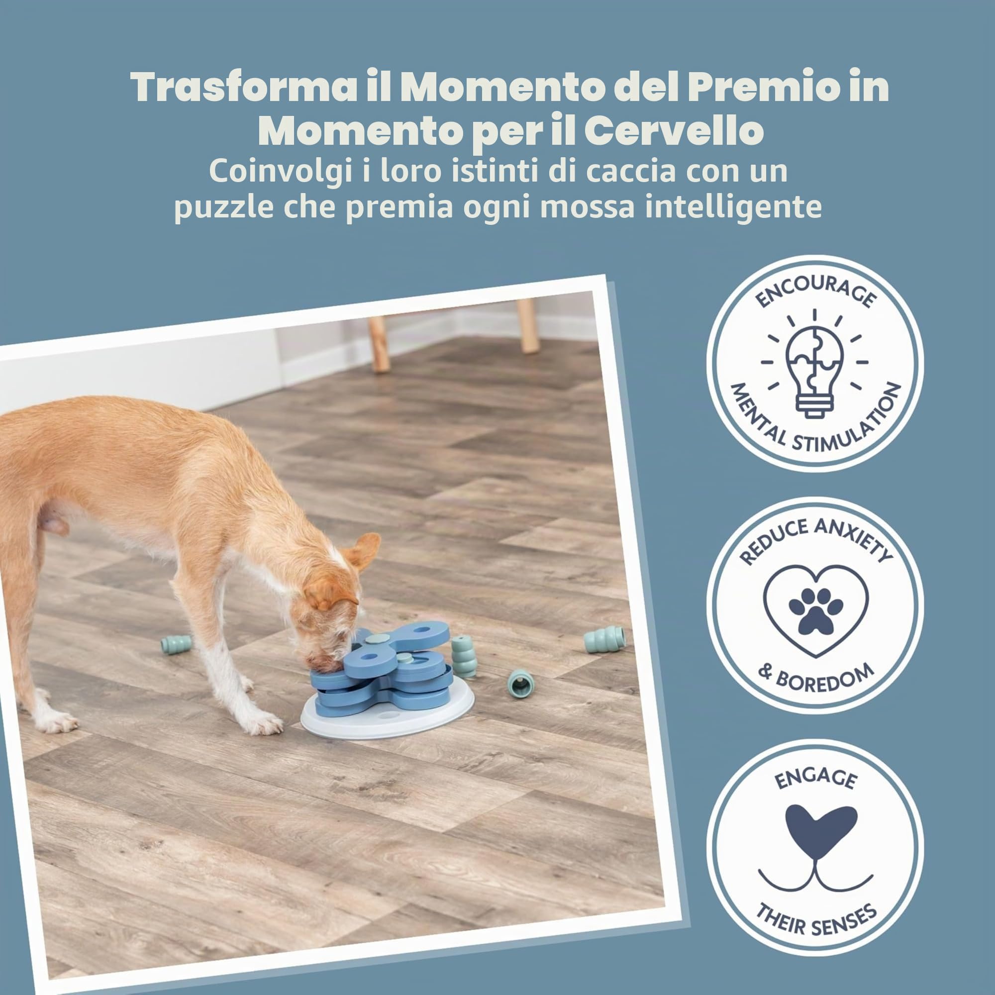 Trixie Gioco di strategia per la Torre dei Fiori, Ø 30 x 13 cm, 1125 kg, Bianco/Blu, Tutte Le Misure di Razza