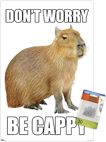 Miniatura 7 de Trends International Capybara - Póster de pared Be Cappy, 22.37 x 34.00 pulgadas, paquete de póster y alfiler