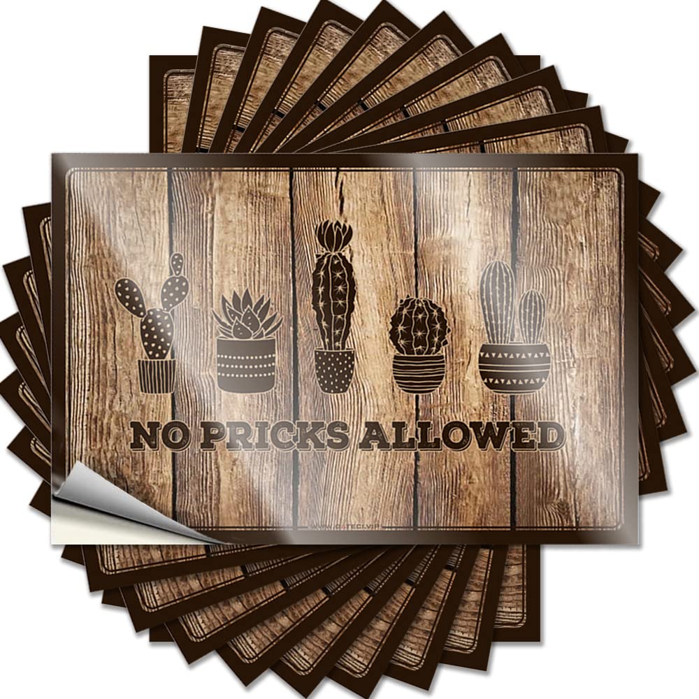 No Pricks Allowed Bumper Lake House Decor | Southern Case Removable Decal Pack(12X18CM)