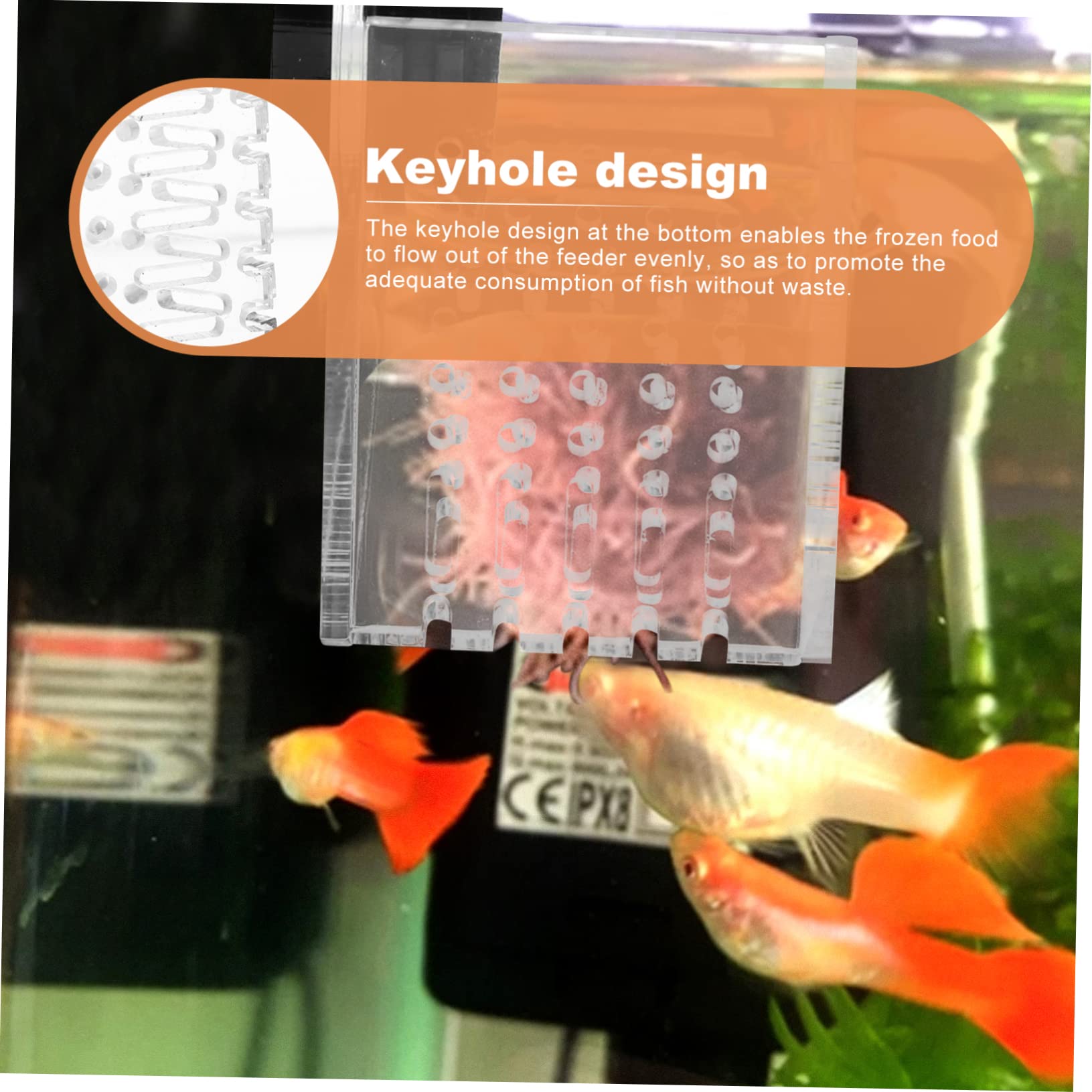 2 STK Ernte Garnelen Fütterung Gerät Aquarium Werkzeug Futterspender Für Aquarien Futterbehälter Für Rote Würmer Fischfütterungsvorrichtung Köder-Feeder Acryl Gefroren Fischfutter