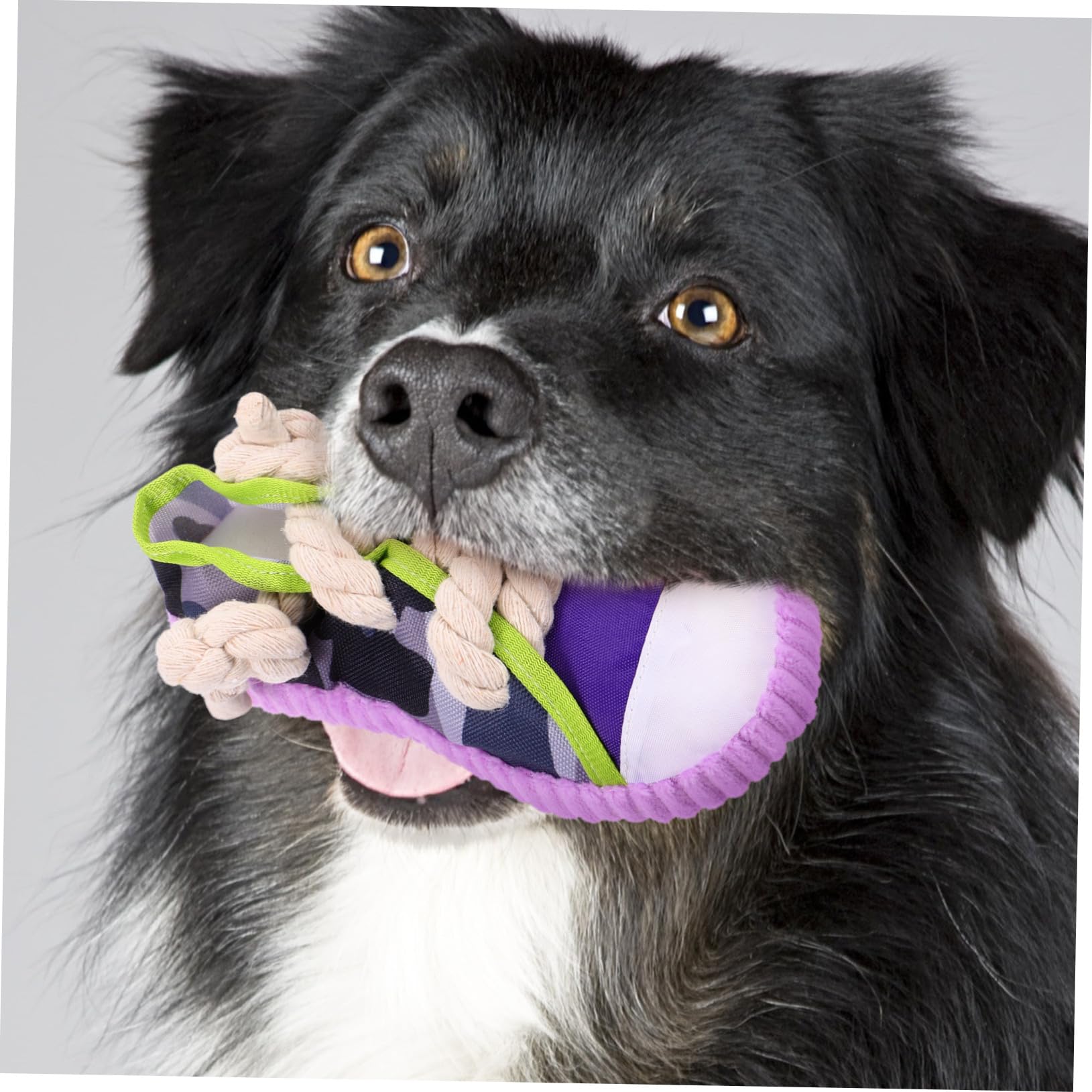 iplusmile Juguete para Perros Molar Forma de Zapatilla con Chirriador Resistente y Ligero para Cachorros y Perros Pequeños Interactivo y Práctico para Morder y Corregir Hábitos
