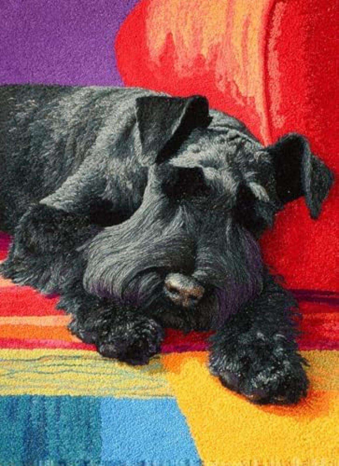 XDEGHUANGSS Latch Hook Rug Kit Giant Schnauzers Dog Puppy Sleeping On Sofa Cushion Cover DIY Craft Set Pre-Printed Mat 38x52cm for Home Decor-3