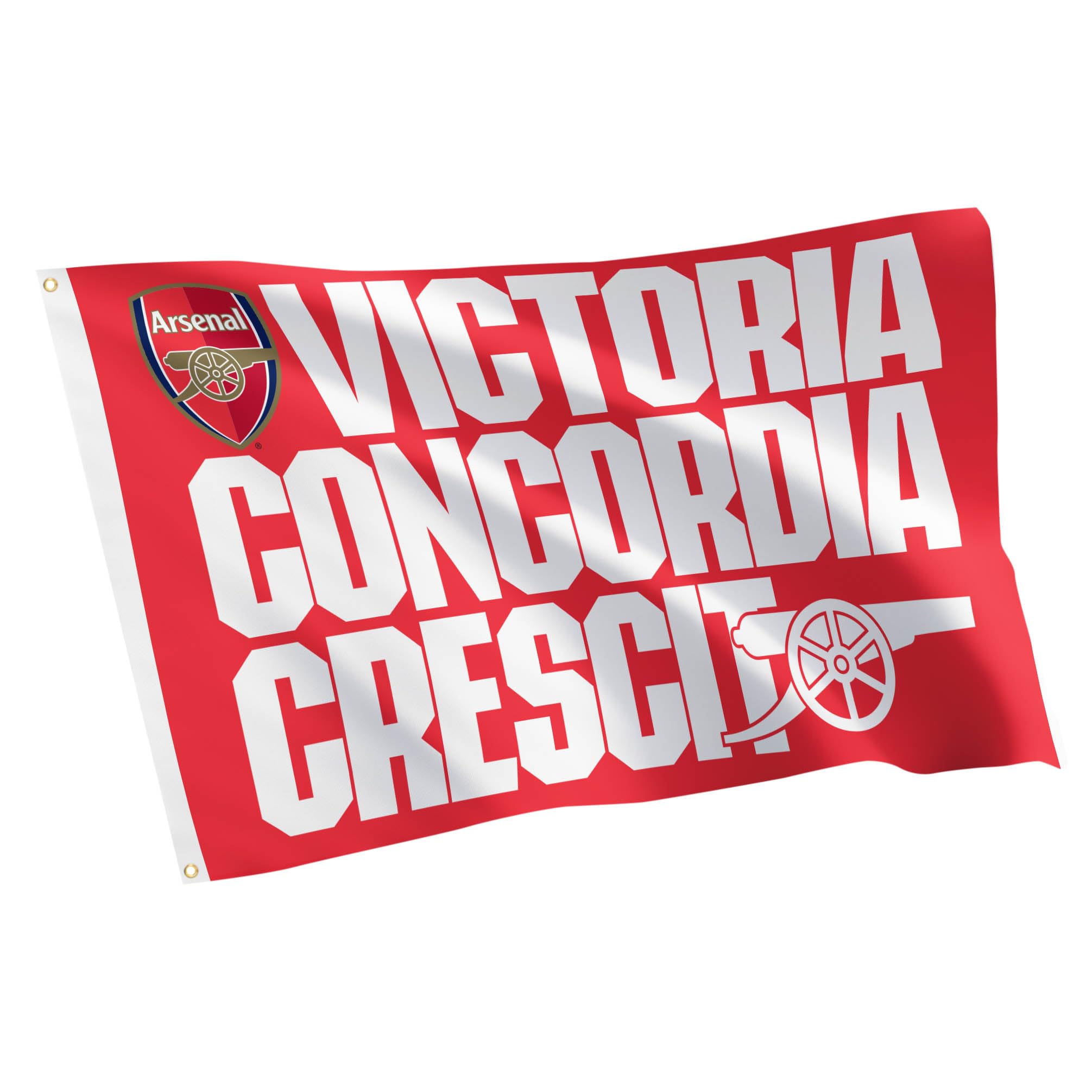 Desert Cactus Arsenal FC 100% Polyester Indoor Outdoor 3x5 feet Banner Gunners Football Soccer (Flag L)