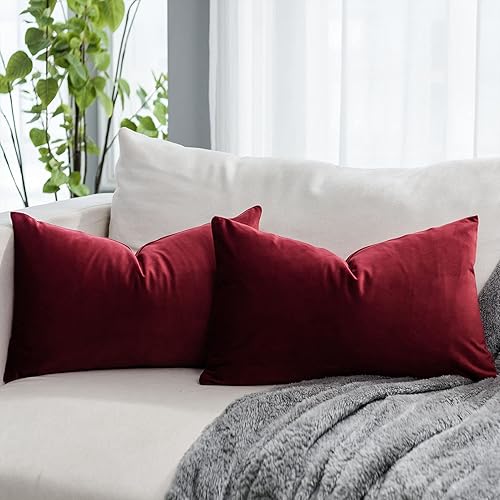 QUAFOO Juego de 2 fundas de cojín decorativas de terciopelo de vino tinto de 16 x 24 pulgadas, fundas de cojín unicolor, lujosas y suaves para sofá