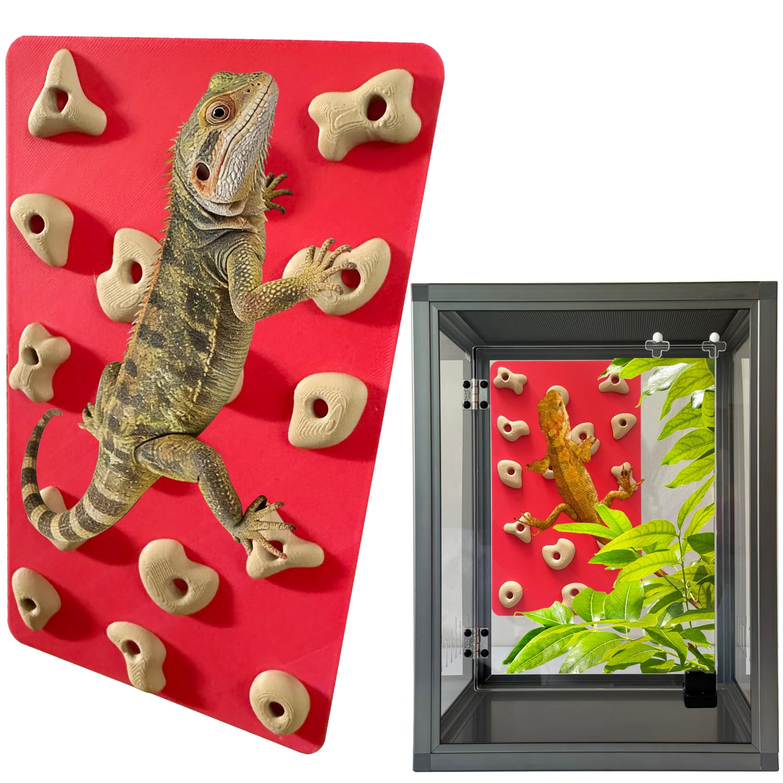 Okueejur Mini Reptile Rock Climbing Wall, Terrarium Enclosure Enrichment & Habitat Décor for Bearded Dragons, Geckos, Lizards, Snakes, Tree Frogs and Small Amphibians
