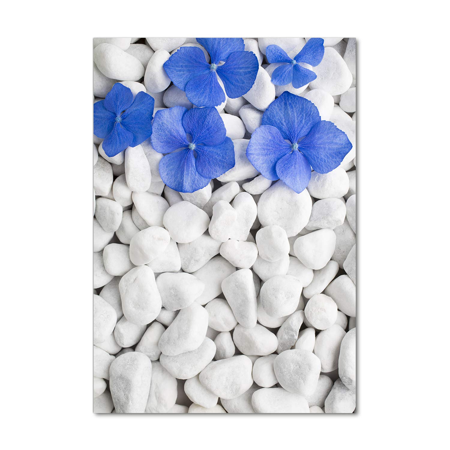 Fleurs et plantes en tableau plexiglas 70x100 pour egayer un mur sombre sans entretien