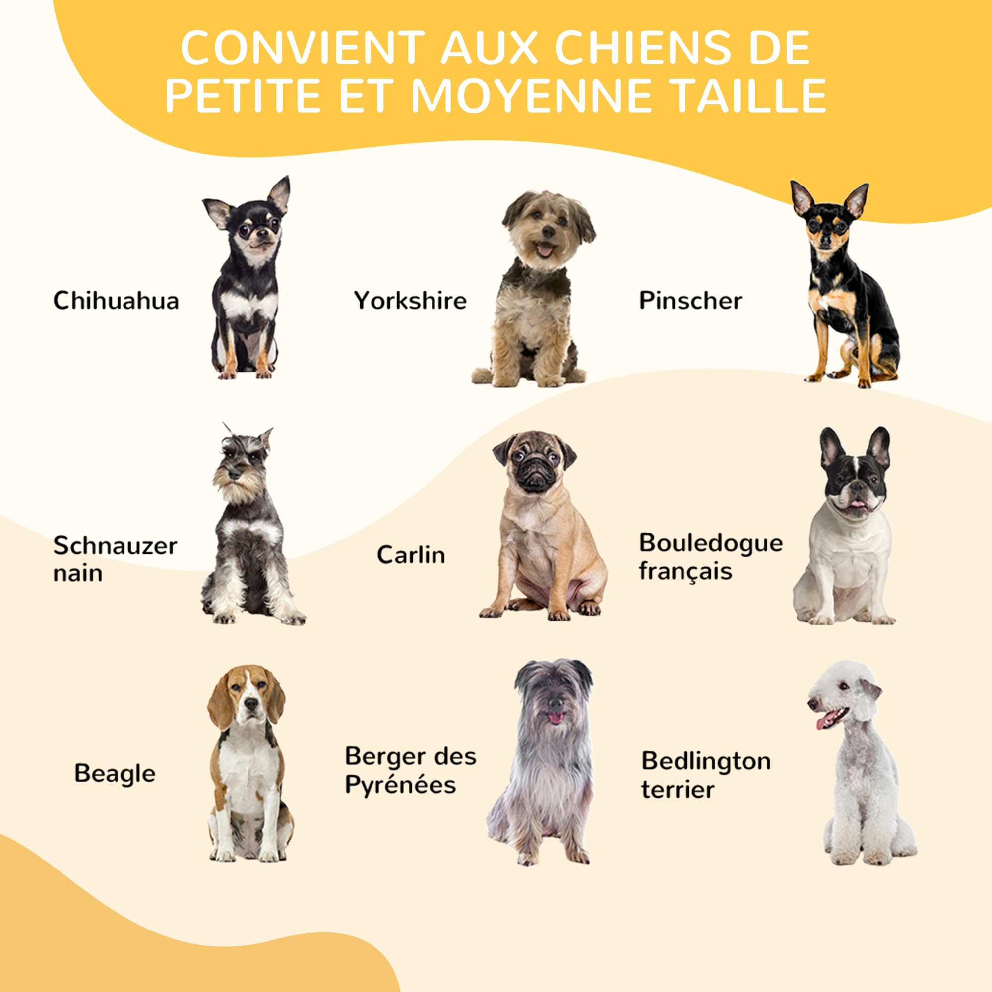 PawHut Luxe Parc enclos modulable Acier époxy pour Chiens Lapins Petits Animaux 80 x 80 cm Noir