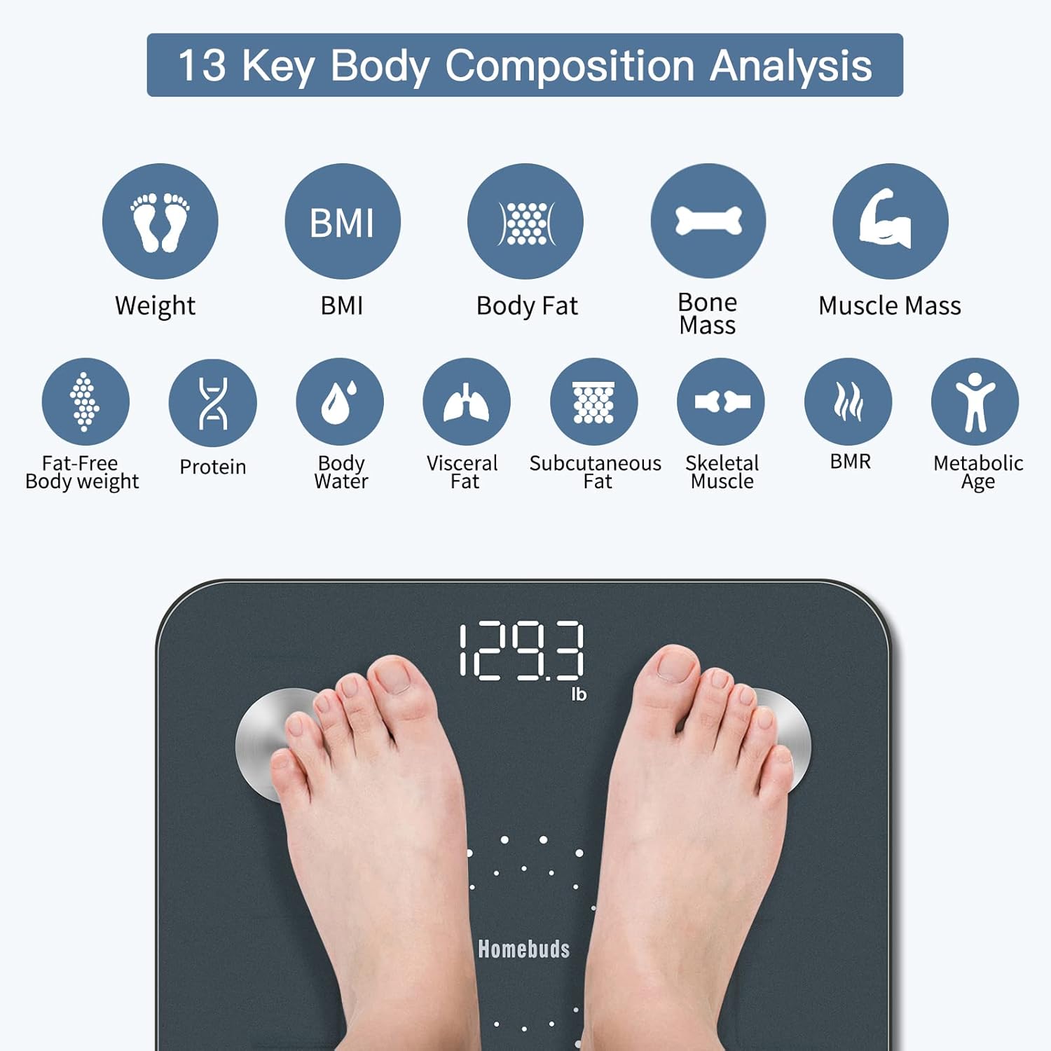 Homebuds Digital Bathroom Scale for Body Weight and Fat, Weighing Professional Since 2001, Body Composition Monitor for BMI Fat Water Muscle with App, 400lb, Blue - Image 3