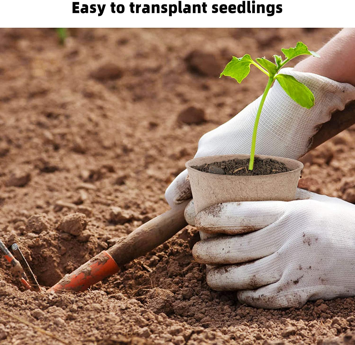 30 Vasi Biodegradabili Per Piantine ANSUG, 11cm Con Etichette E Attrezzi: Kit Semina Ecologico