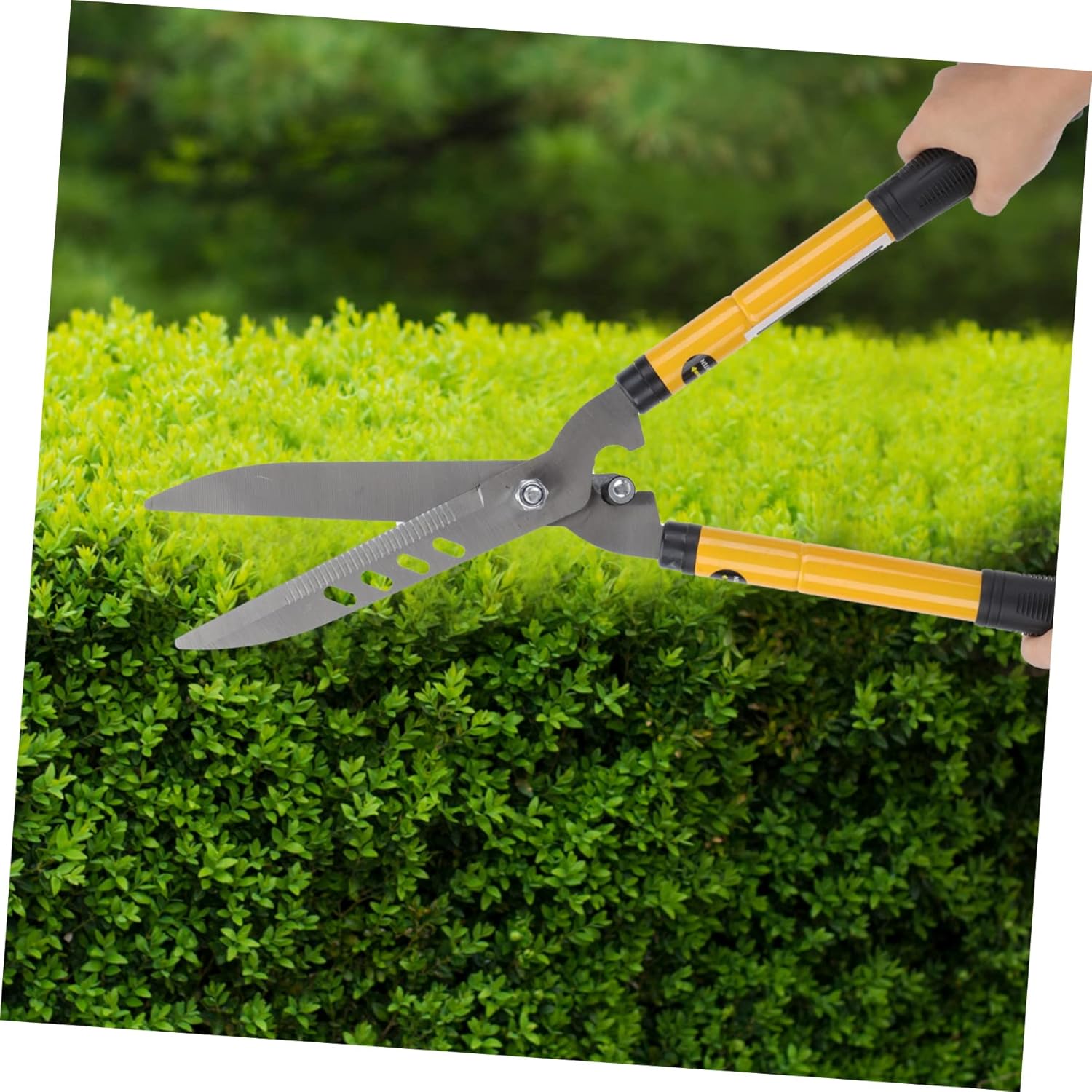 Portable Branch Shear Pruning Scissor Gardening Cutting Tool for Tree Limb and Plant Pruning