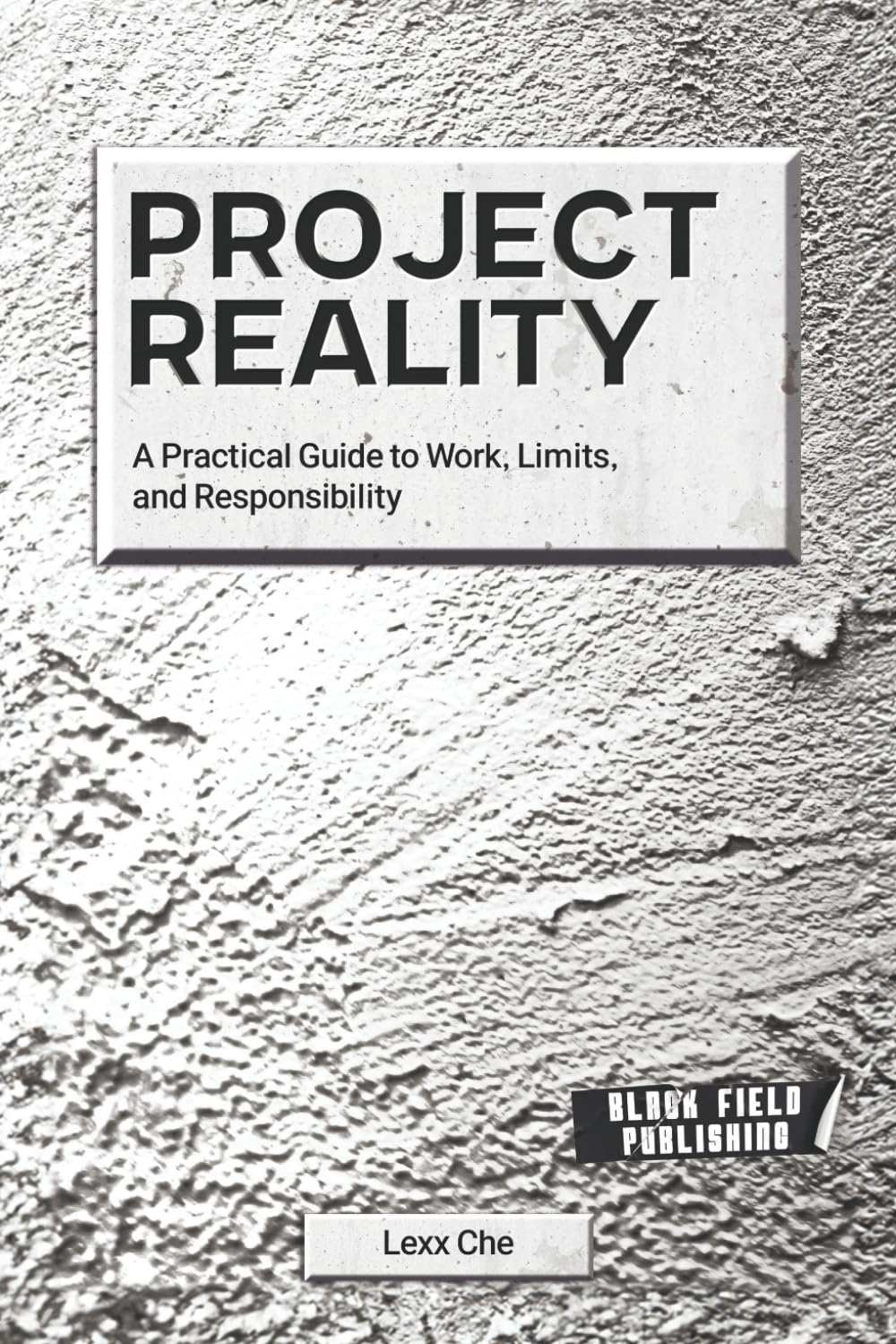 Project Reality: A Practical Guide to Work, Limits, and Responsibility: 1 (Reality Deskbooks)