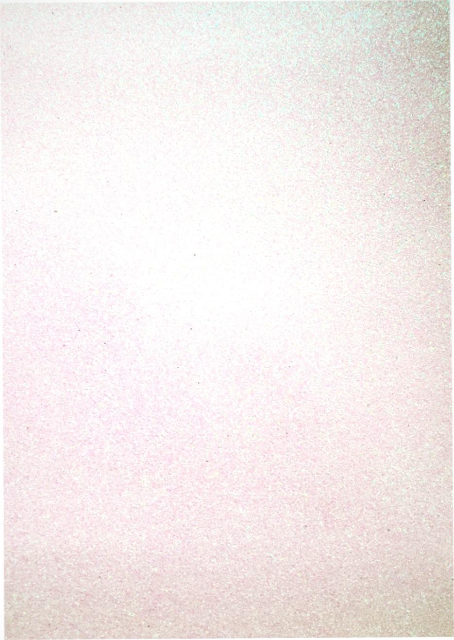 Vaessen Creative Glitter Rainbow White #1533 Hobby & Crafting Fun 22Cmx30cm Craft Foam Sheets 5Pcs