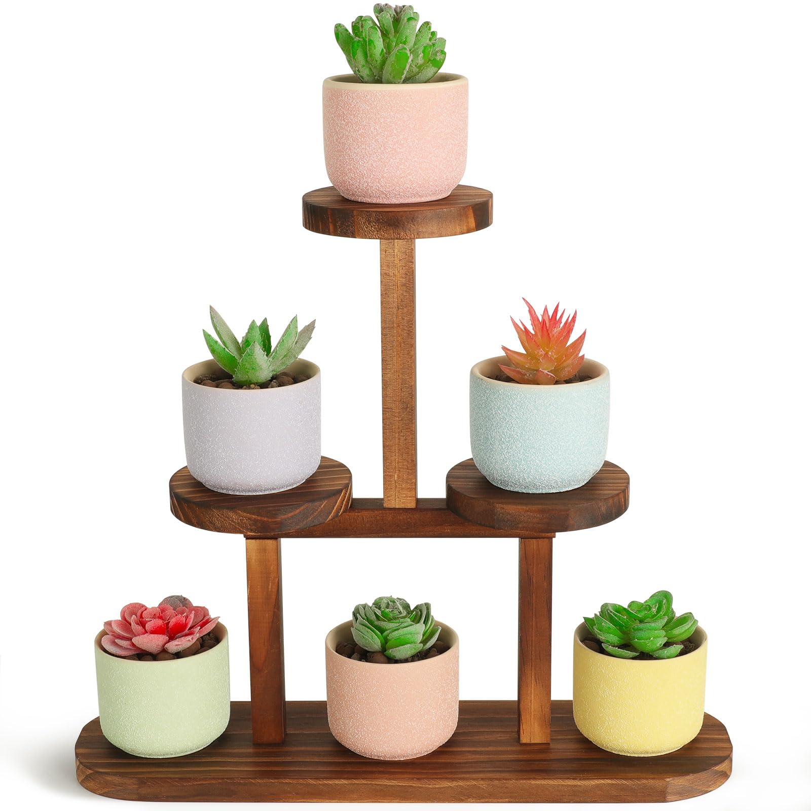 mint seeds for planting Mint Herb Seed Collection (4 Individual Packets)