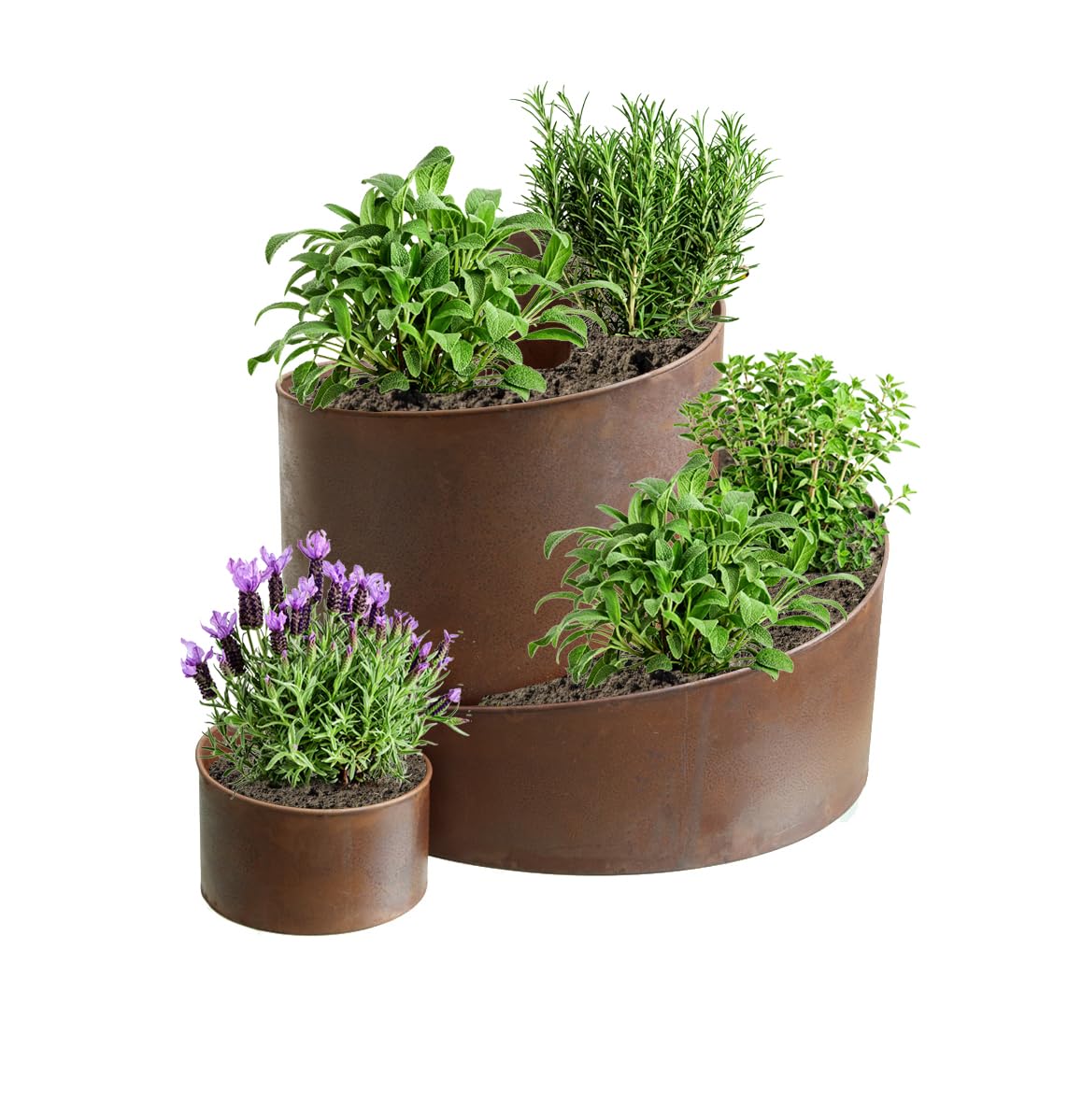 Kräuterspirale Kräuterschnecke Kräuterbeet aus Metall 58,5x43x41cm Rost Kräutertreppe
