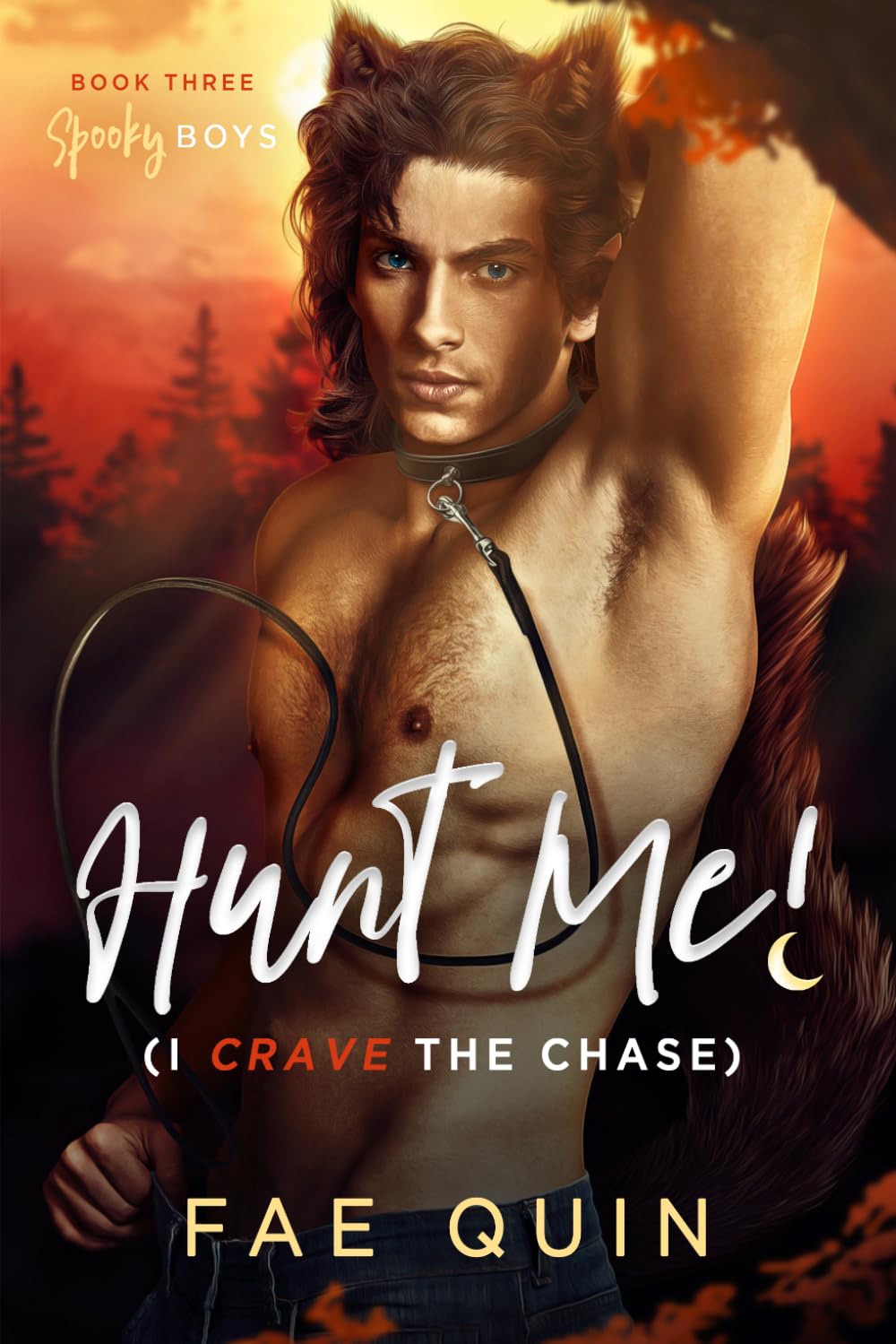 Hunt Me! (I Crave The Chase): MM Paranormal Werewolf Romance (Spooky Boys)