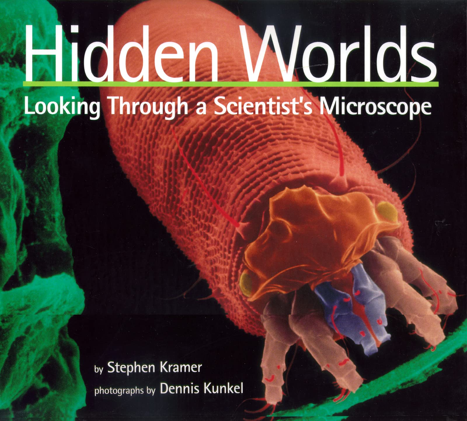 Hidden Worlds: Looking Through a Scientist's Microscope (Scientists in the Field Series) Paperback β August 25, 2003