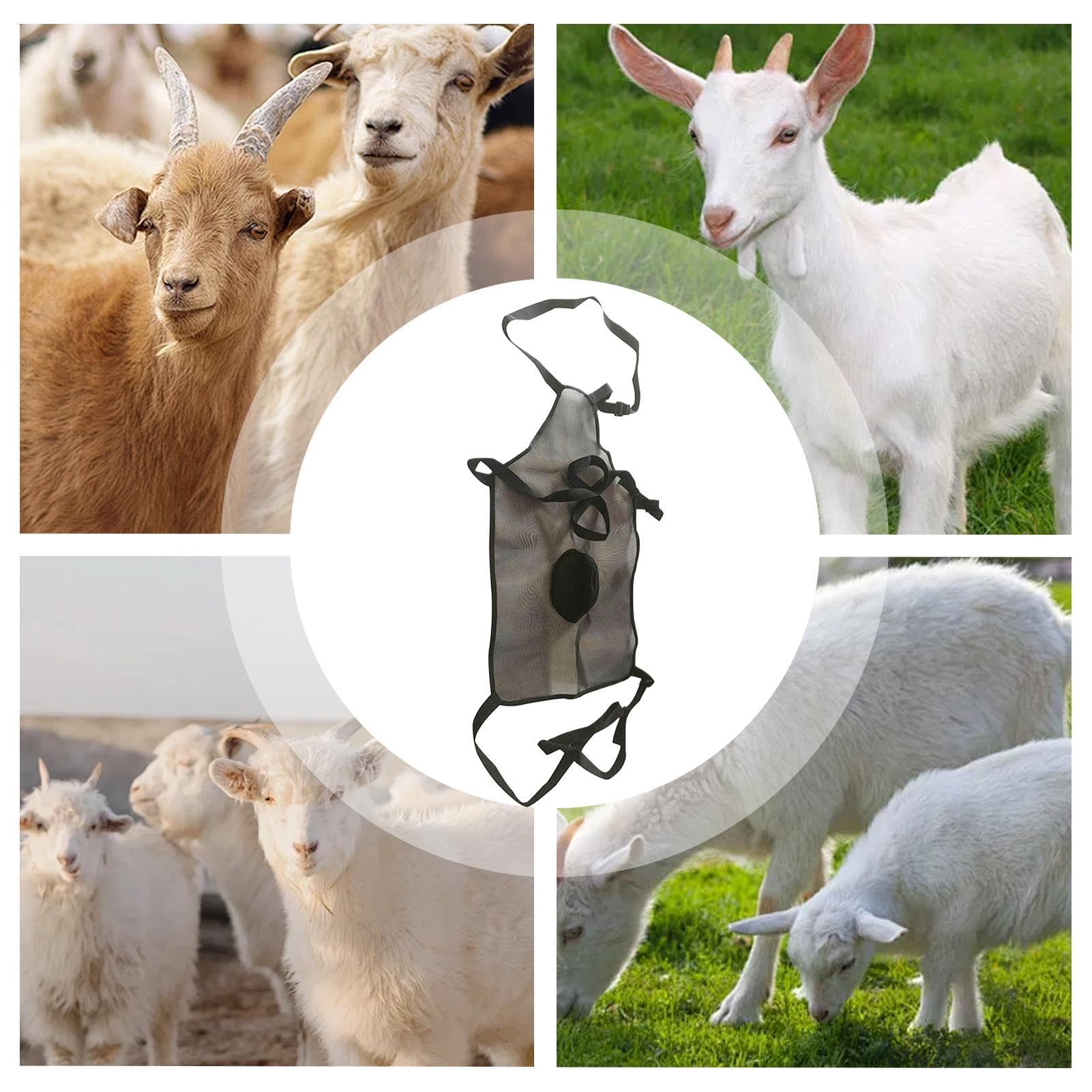 Gonna anti-accoppiamento per capre, grembiule anti-accoppiamento per capre | Grembiule regolabile anti-allevamento per capre - Gestione del gregge Gonna di controllo 'accoppiamento Abbigliamento per b