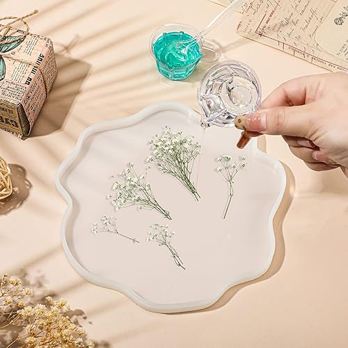 Miniatura 7 de Flores secas de aliento para bebés a granel, blanco marfil, aliento de bebé, flores reales prensadas de gypsophila natural, flores secas para