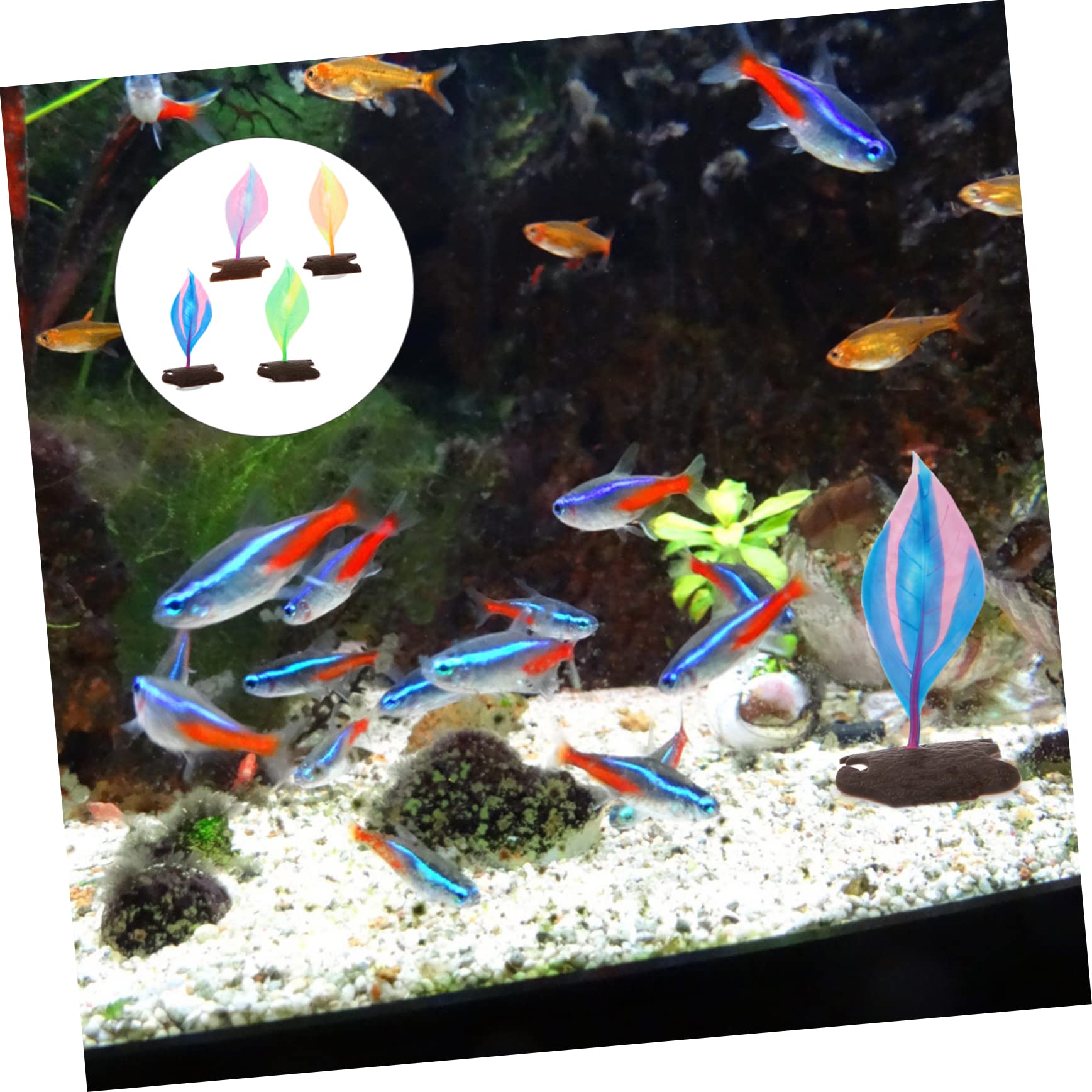 Yardwe 12stücke Betta Fisch Ruheblatt Aus Für Zucht Und Spielbereiche Im Aquarium Mit Saugnäpfen Zur Einfachen Bunten Farben