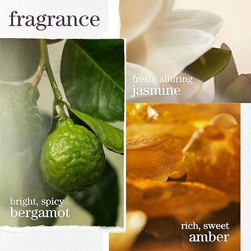 Vista 6 de Pureology Strength Cure Dream Healer - Suero para el cabello, tratamiento ligero sin enjuague, reparación del cabello de puntas abiertas, suaviza