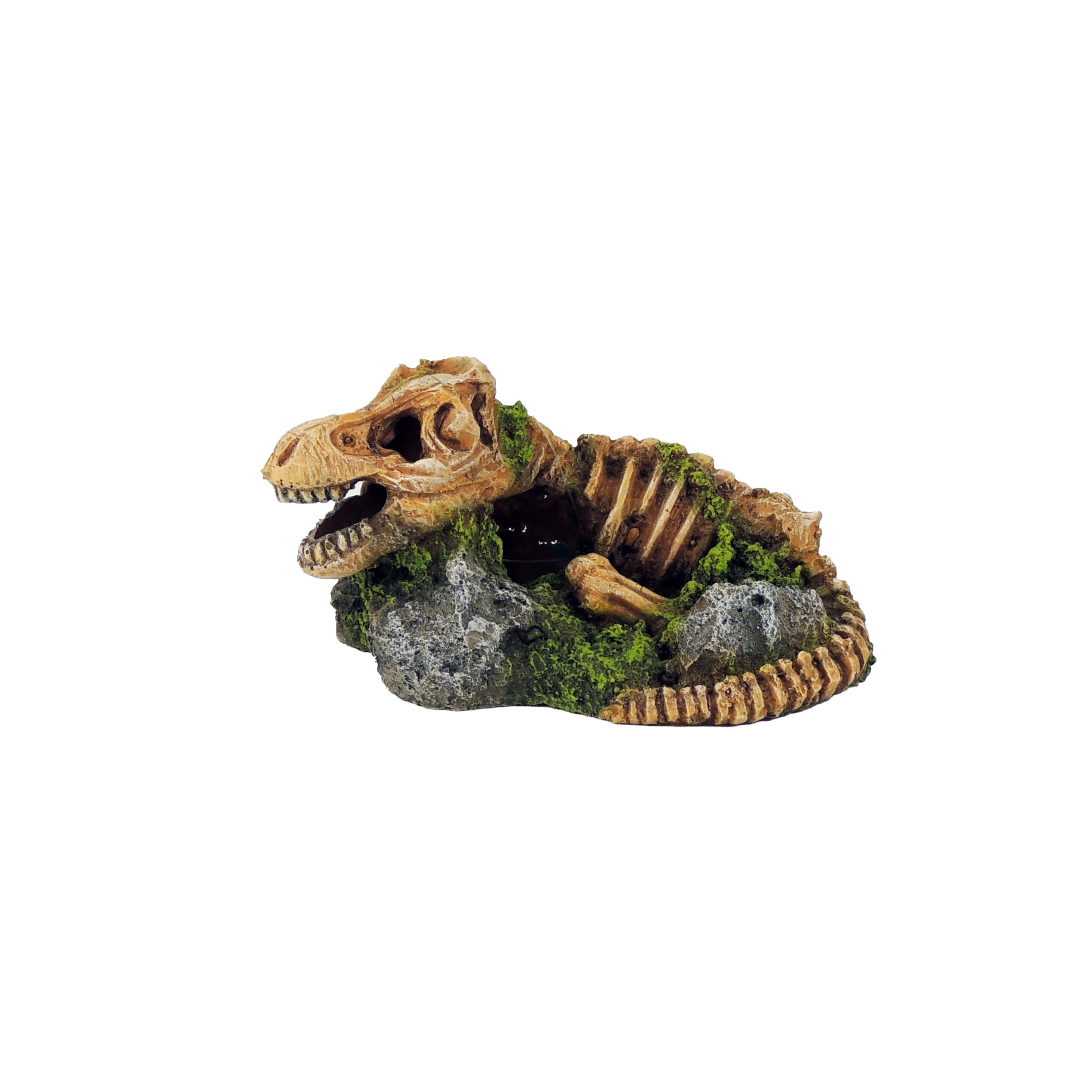 CLASSIC Dinosaur Fossil Skeleton on Rock – Prehistoric Aquarium Ornament – Fish Tank Decoration – 160x115x85mm