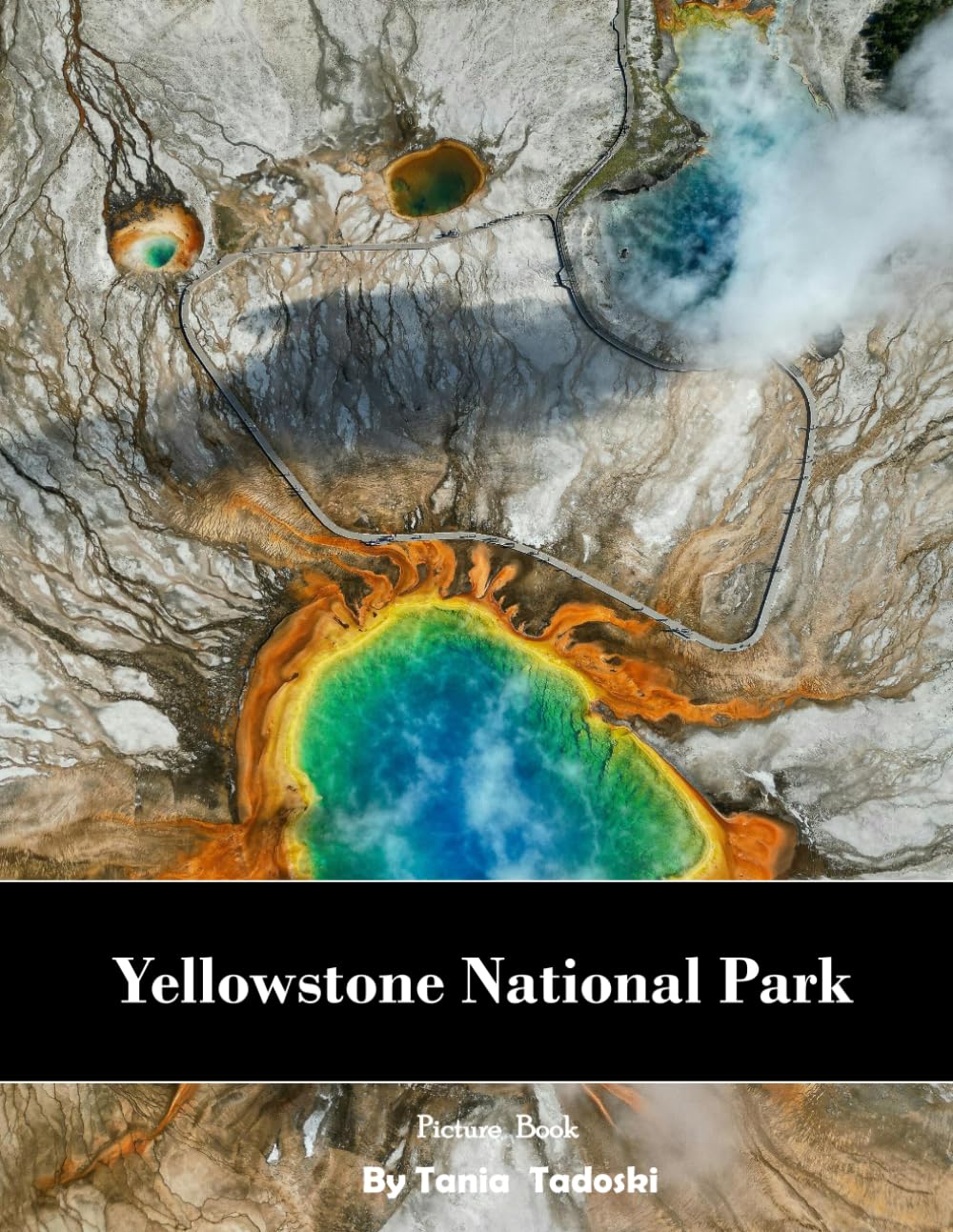 Yellowstone National Park: Yellowstone: Geysers, Hot Springs, Bison, Waterfalls, Canyons, Wolves and More