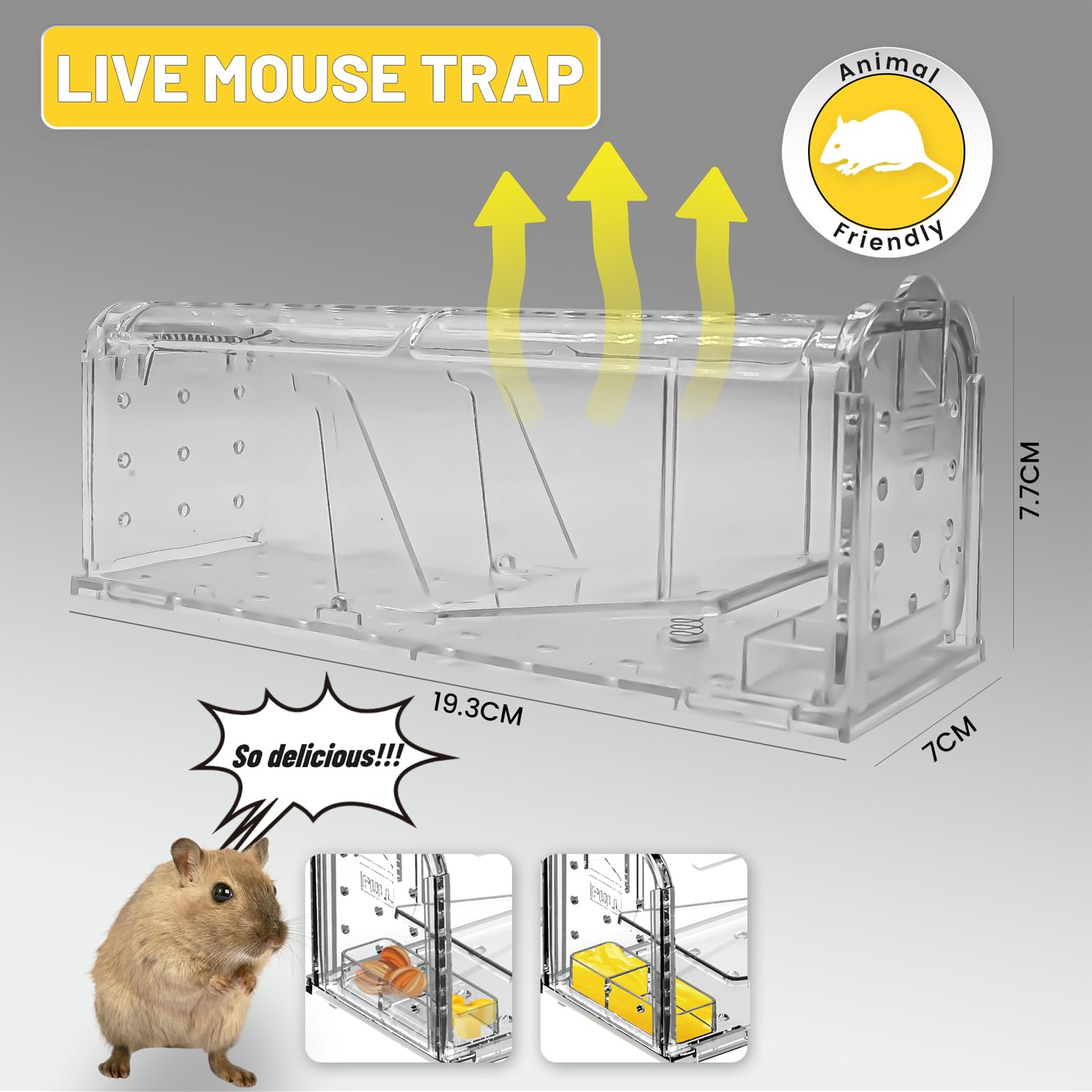 Piège à Souris Vivant Réutilisable - Boîte Avec Appât, Aération, Sécurisée - Pour Intérieur/extérieur - Capture Sans Tuer - 4