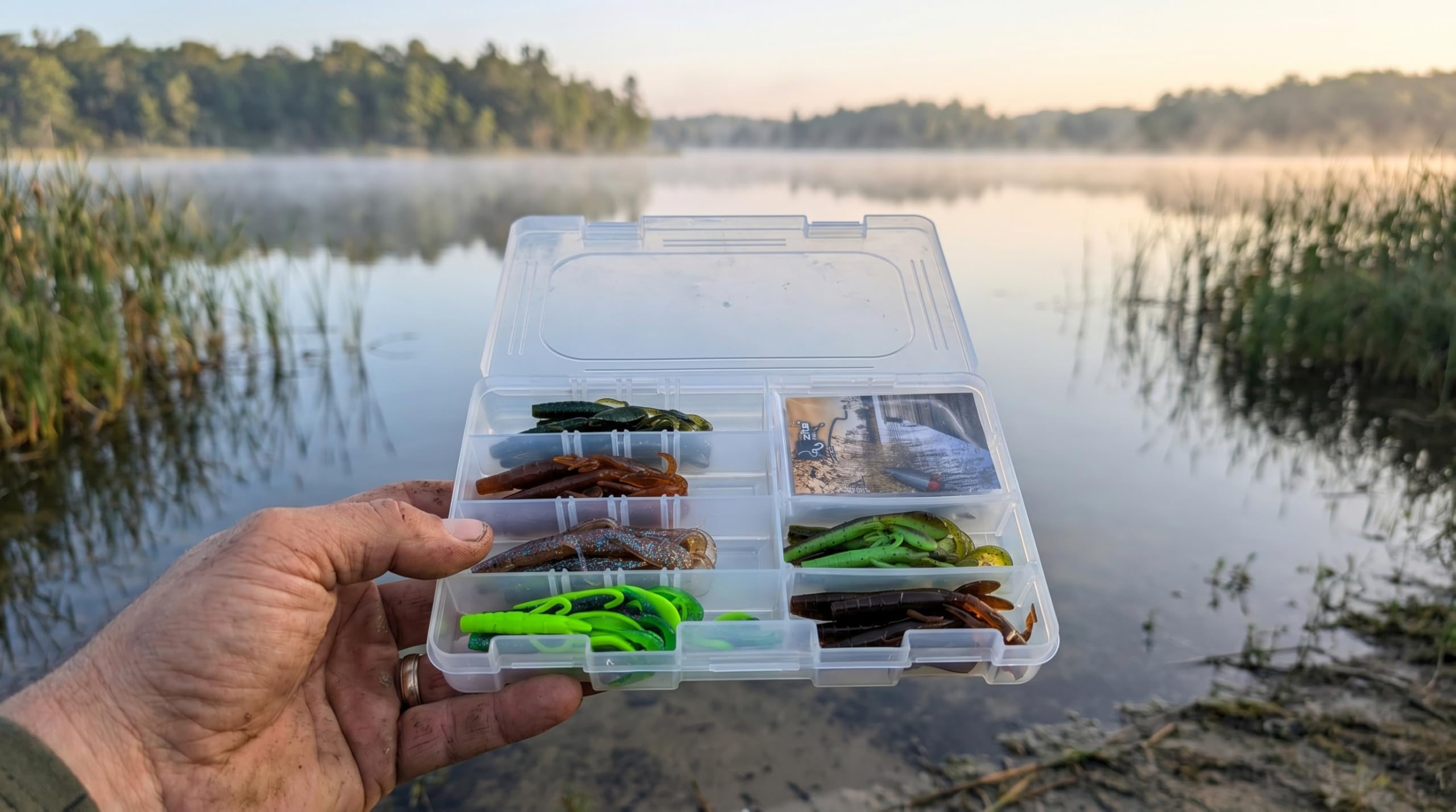 Zite Fishing Inzite Braw Starterbox – 36-teiliges Gummiköder Set für Barsch | & Zander – 30 Gummifische 10,5 cm inkl. 6 Fertig-Rigs (Dropshot, Texas, Carolina)