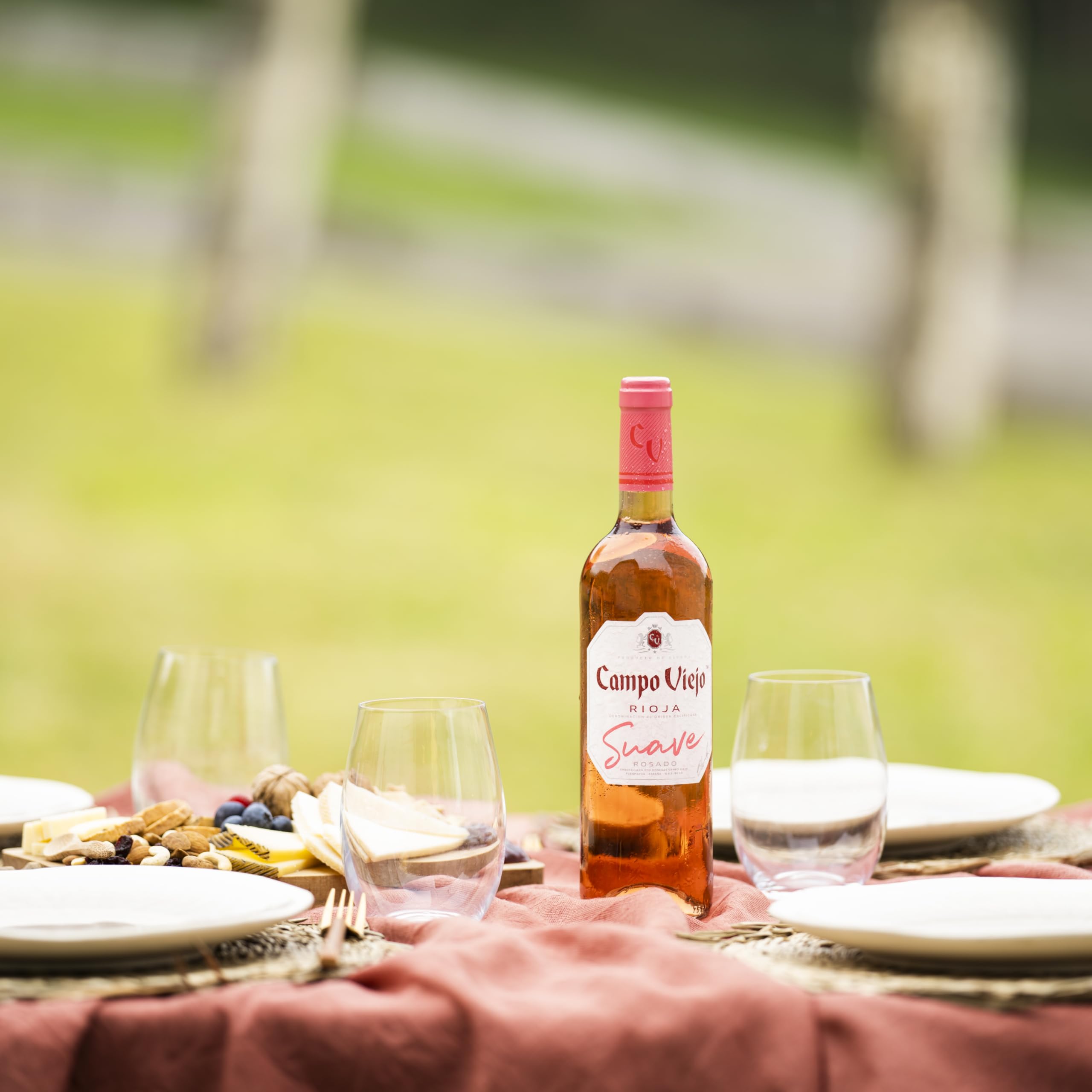 Campo Viejo Rosado Pack 6 botellas D.O.Ca Rioja Vino - 750 ml