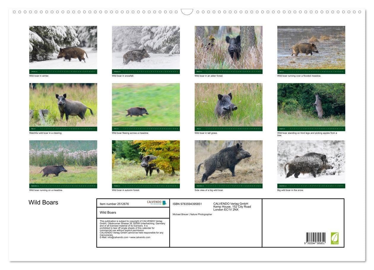 Wild Boars (Wall Calendar 2027 DIN A2 landscape), CALVENDO 12 Month Wall Calendar: An outstanding and memorable collection of wildlife pictures.