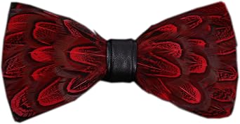 Secdtie Novelty Feather Bow Tie for Men Handmade Pre-tied Bowtie with Gift BOX