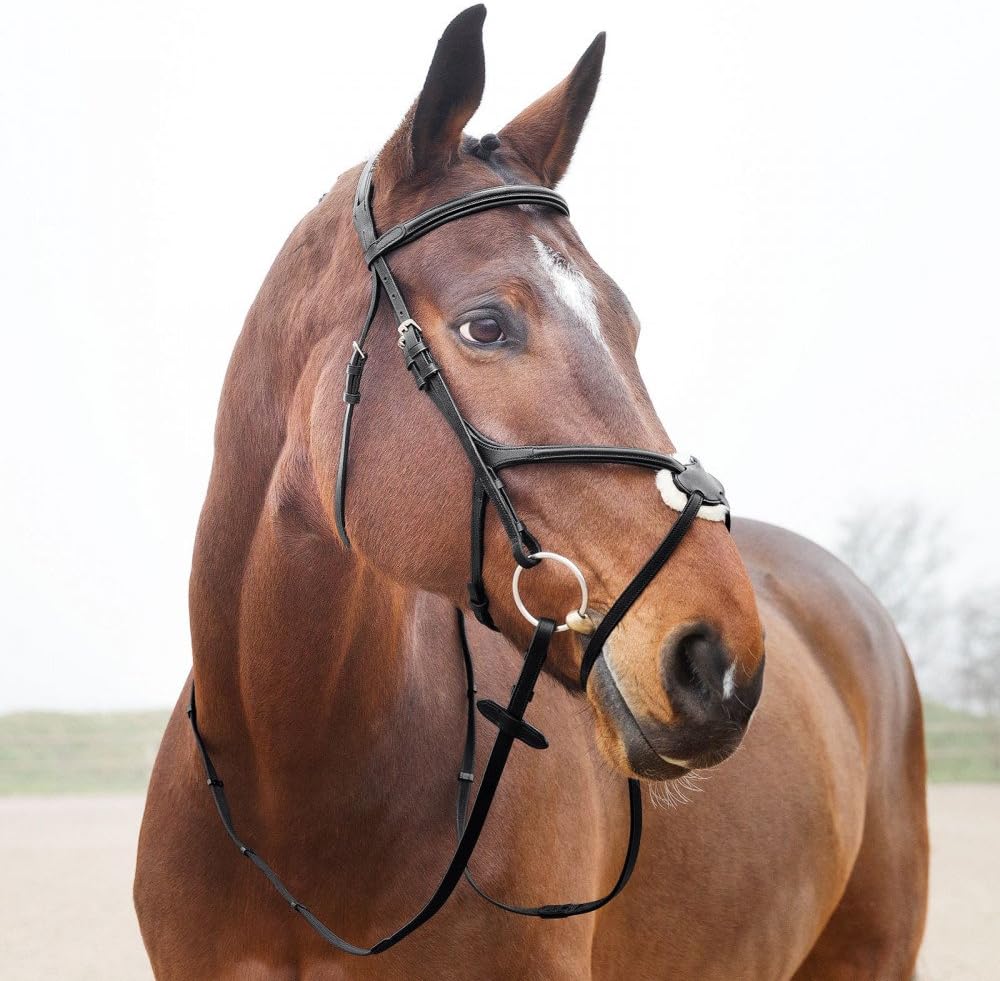 HORZE Prescott Figure 8 Bridle