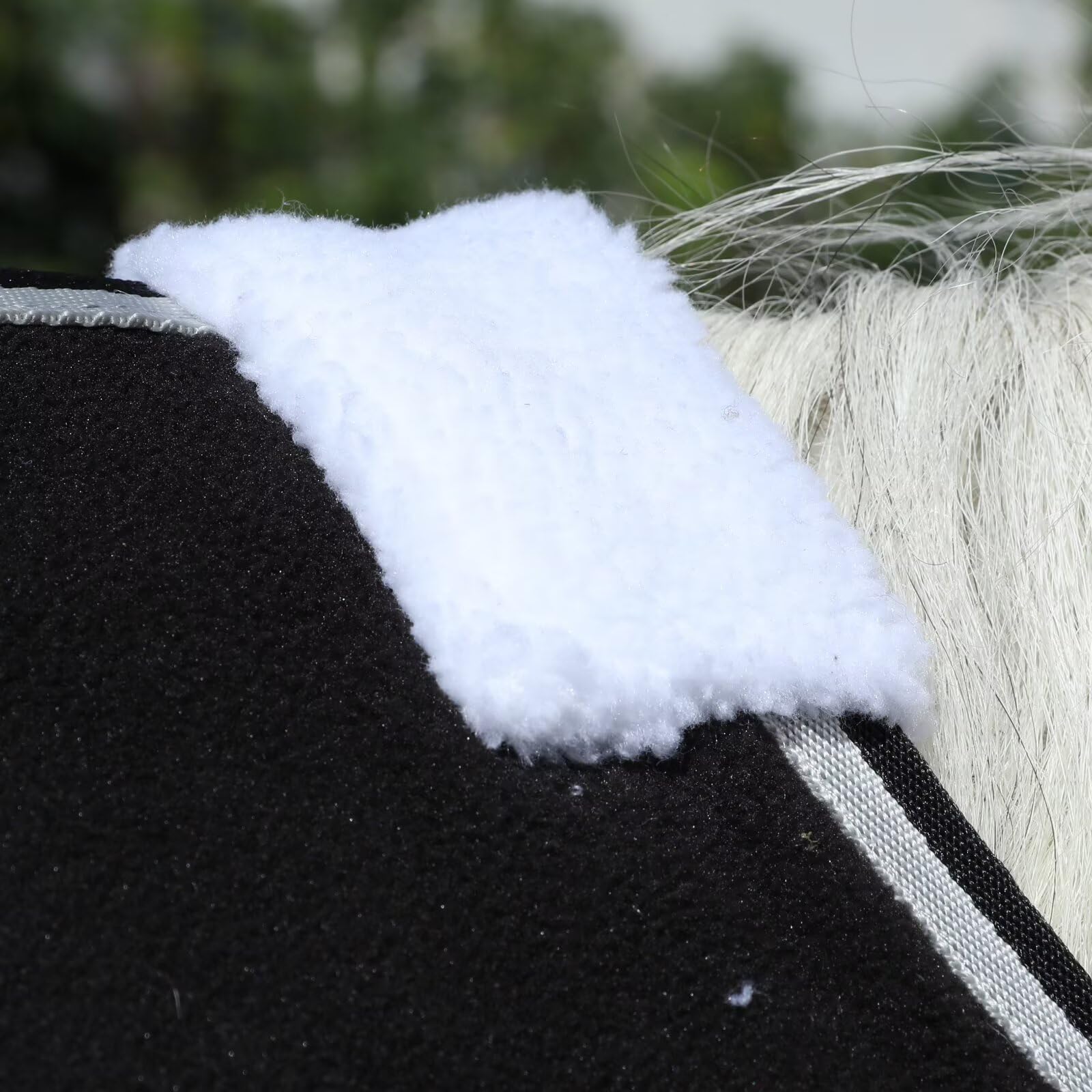 LEAFOREST Manta de forro polar con forro polar para caballos que absorbe la humedad en el granero, establo, pasto, paddock, negro, 84 pulgadas