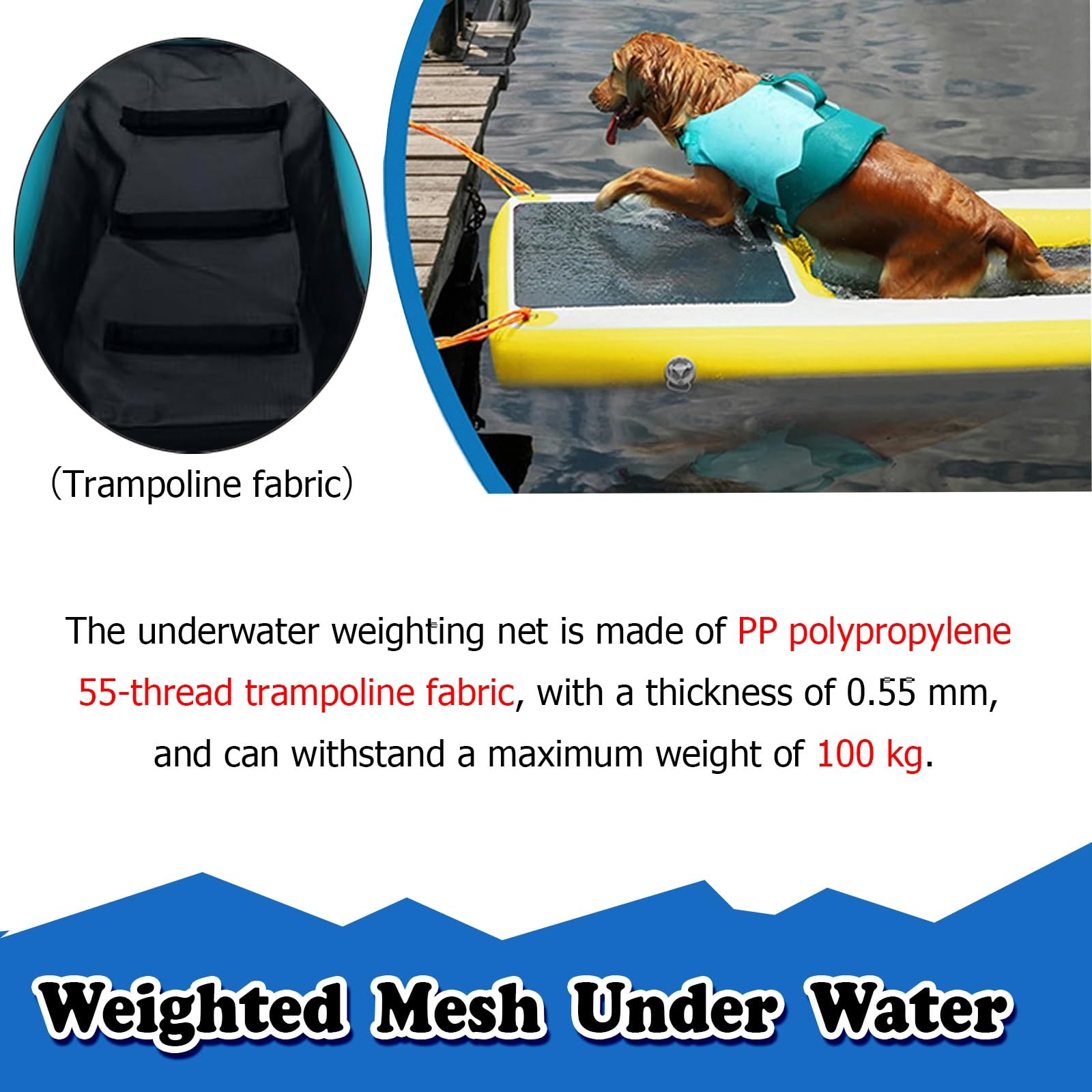 scaletta per Cani da Barca Rampa Gonfiabile per Cani, Scala Galleggiante per Piscina per Animali Domestici, rampa acquatica per Cani con Tappetino Antiscivolo in Eva(Color D)