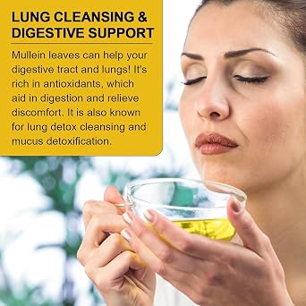 Mullein Leaf Tea Bags for Lungs Cleanse and Respiratory Support