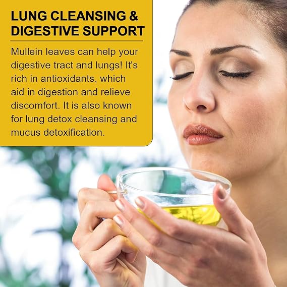 Mullein Leaf Tea Bags for Lungs Cleanse and Respiratory Support
