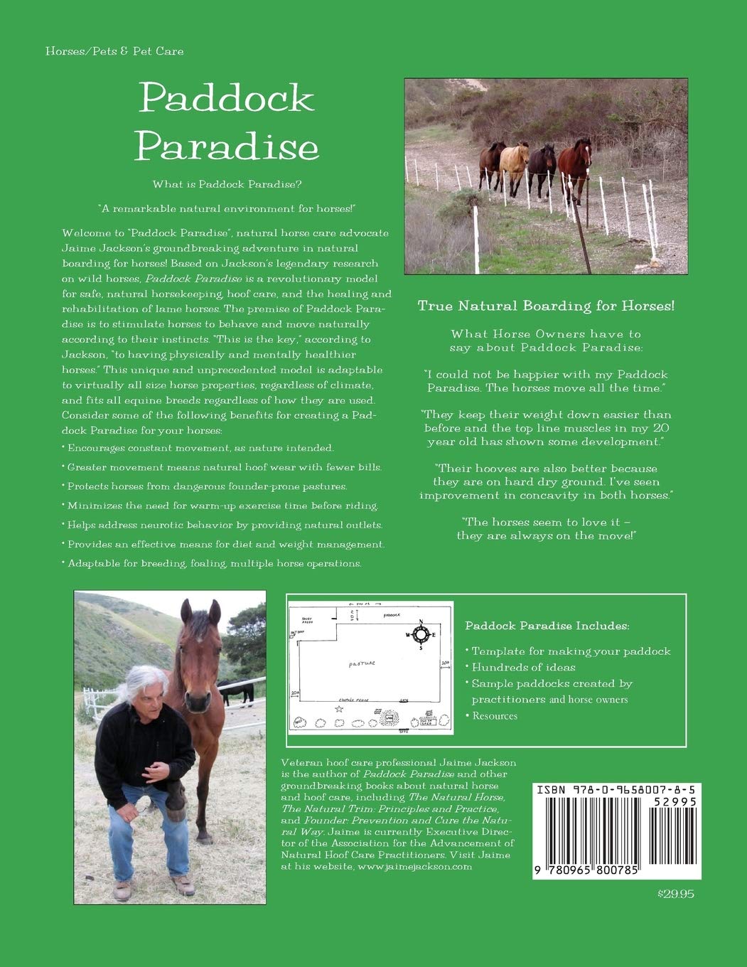 Paddock Paradise: A Guide to Natural Horse Boarding