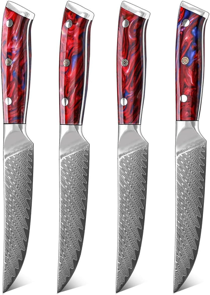 Steak Knives Set Of 4,High Carbon 5 Inch Damascus VG10 Steel Kitchen Steak Knife Set with Red Resin Handles,67 Layers,Sharp Non-Serrated Edge - Exquisite Box