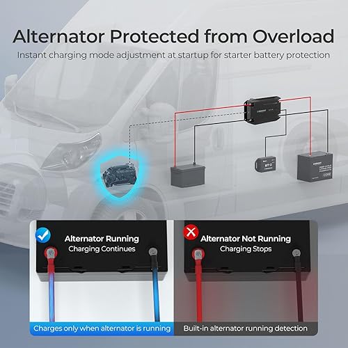 Miniatura 10 de Renogy - Cargador de batería con carga multietapa de CD a CD