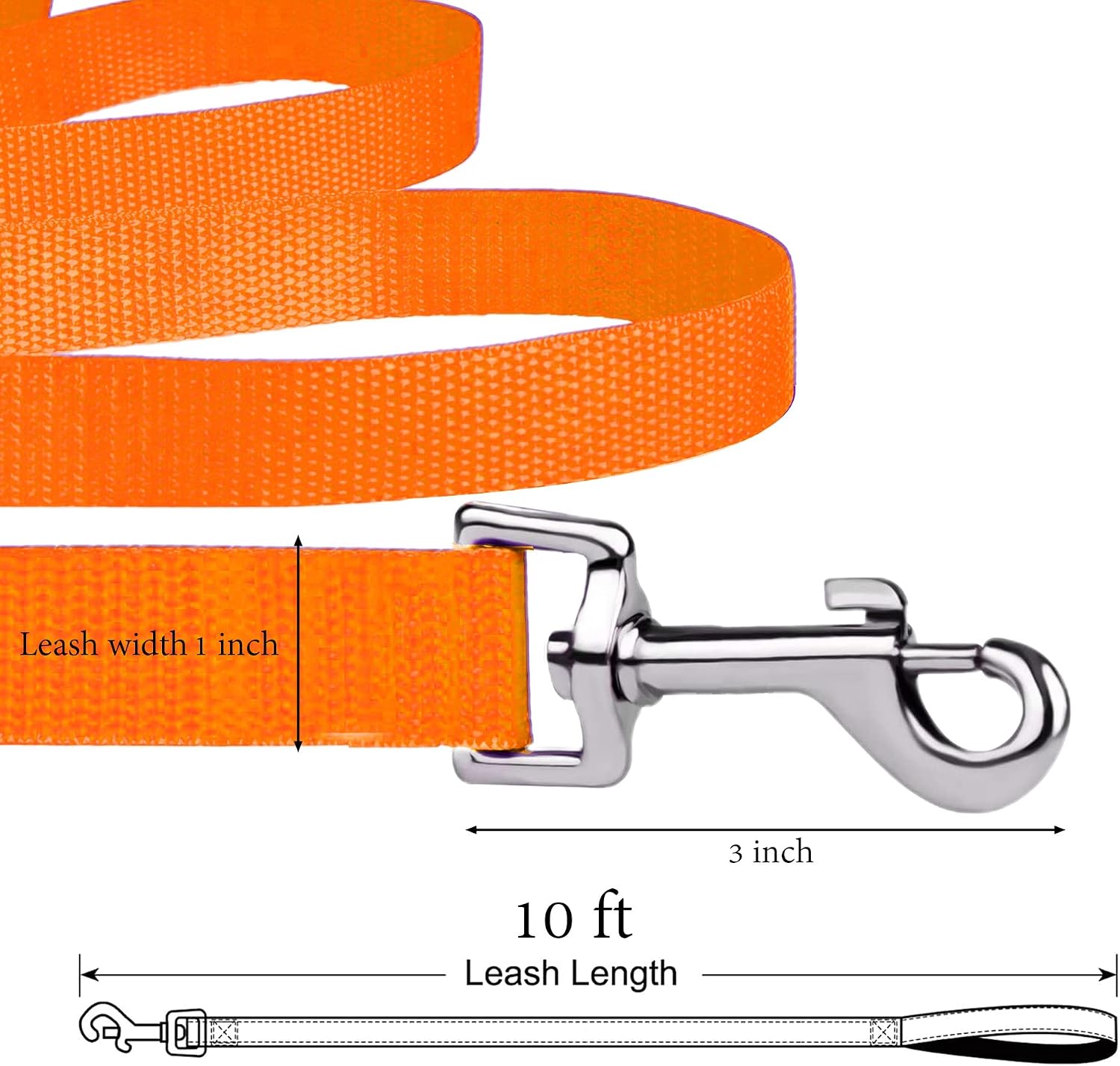Accessory USA 10ft Long Line Training Dog Leash,for Large,Medium and Small Dogs,Long Dog Lead,for Training,Backyard,Camping,or Play,Great for Parks and Fetch (10FT, Orange)