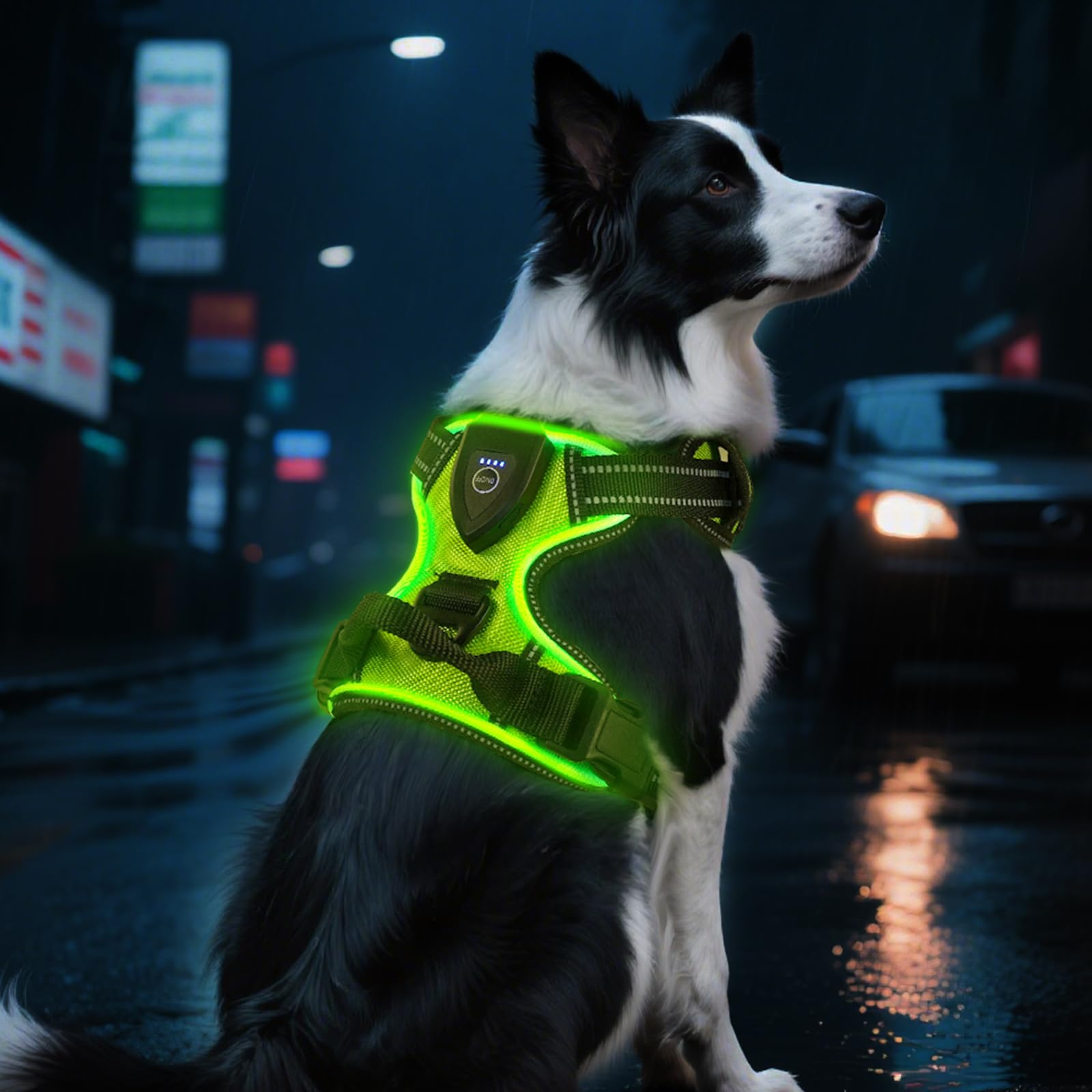AUAUY Light Up Dog Harness, Rechargeable LED Dog Harness, Adjustable, with Handle, Breathable, Soft and Thickened Safety Dog Vest for Small, Medium and Large Dogs (Green- L)
