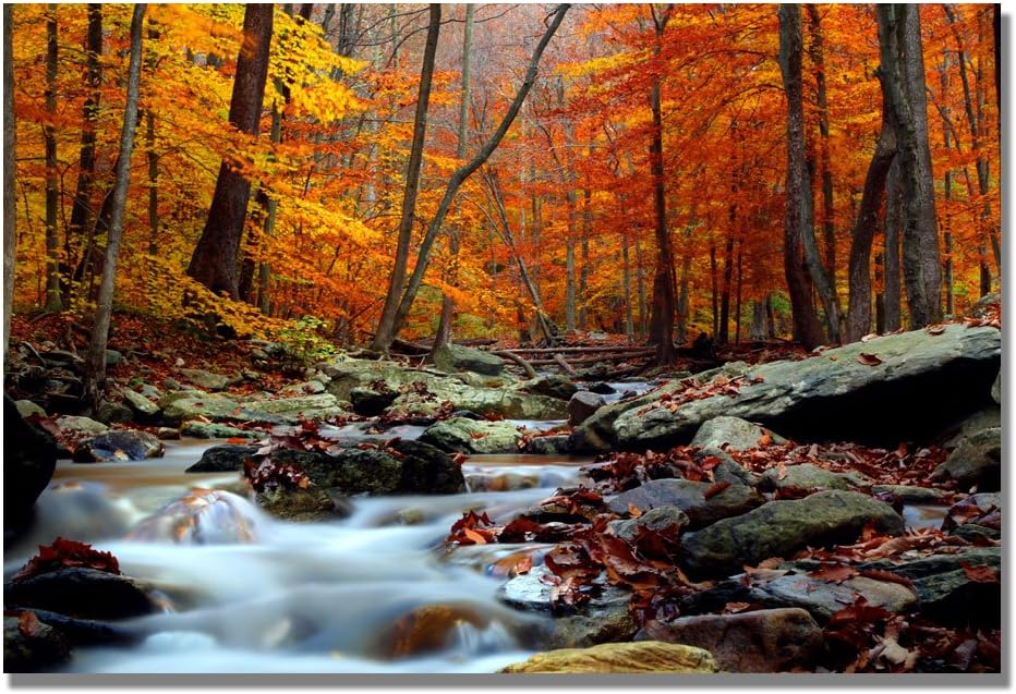 Ultimate Truth 16x24 Glossy Landscape Canvas Art
