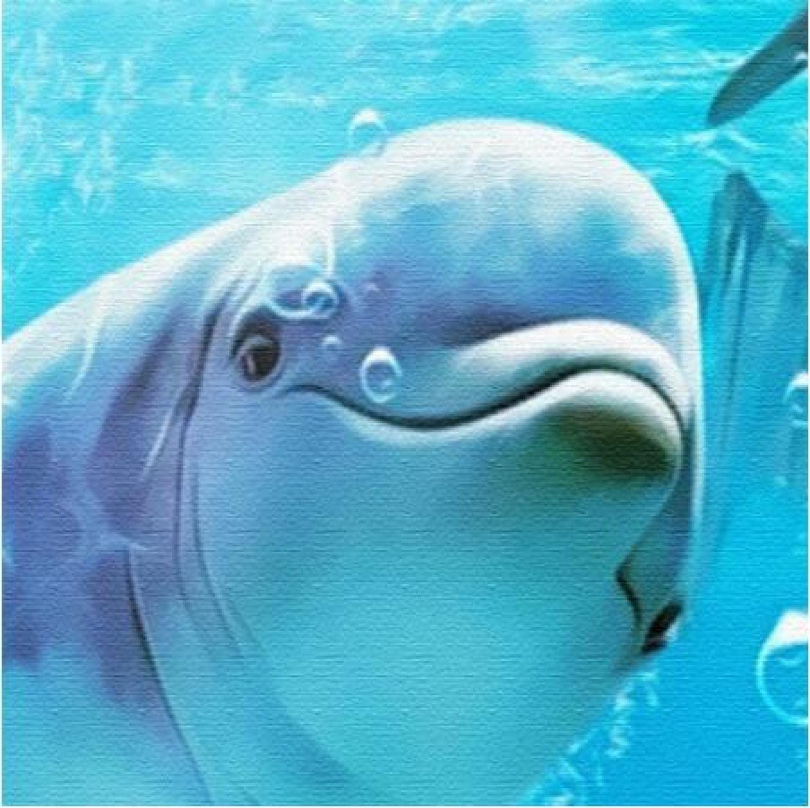 Papier Peint Photo Effet 3d Panoramique Mural Dauphin Salon Enfants