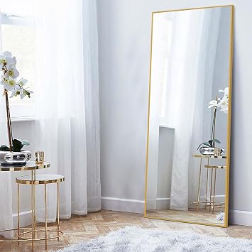 NEUTYPECHIC 63"x20" Full Length Wall Mirror for Floor & Wall Decor in Living Room - Gold Frame, Large Body Mirror JJ00362ZZE-M-USAM021