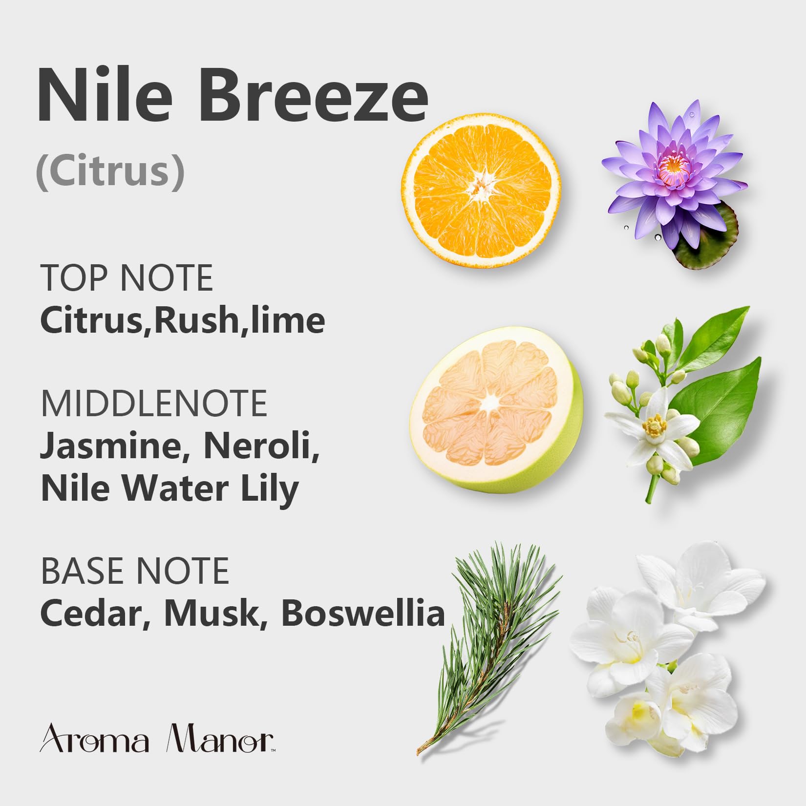 Aroma Mezcla de Aceites Esenciales - Nile Breeze - Aceite de Fragrancia de Hotel para Máquina Difusora de Aromaterapia, Cítricos, Jazmín y Madera de Cedro, para un ambiente de lujo en habitaciones