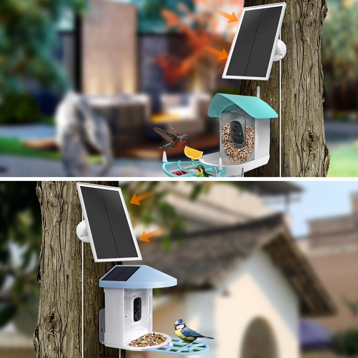 Chargeur de panneau solaire 6 W compatible avec appareil photo Netvue Bird Feeder, câble de 3 m de long, étanche